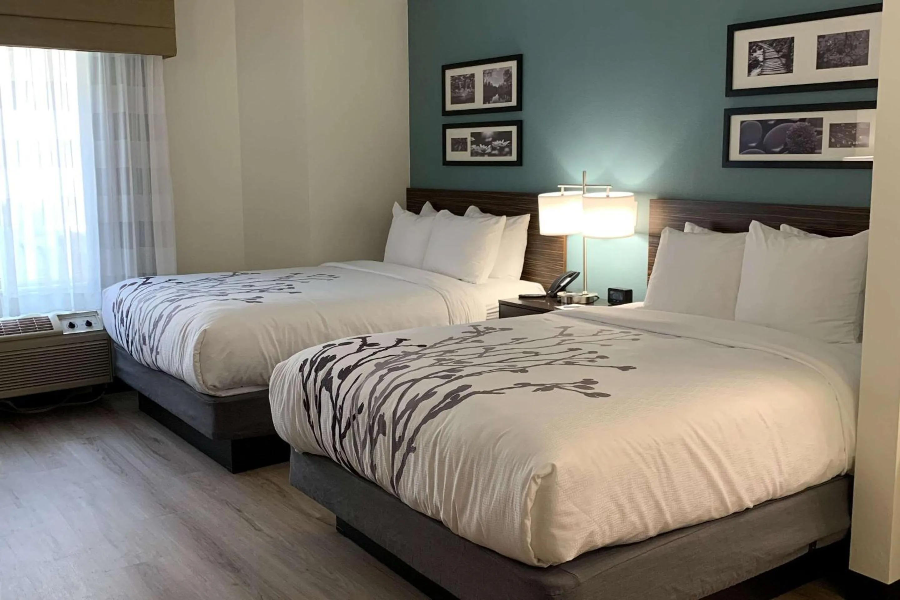 Bedroom, Bed in Sleep Inn Staunton