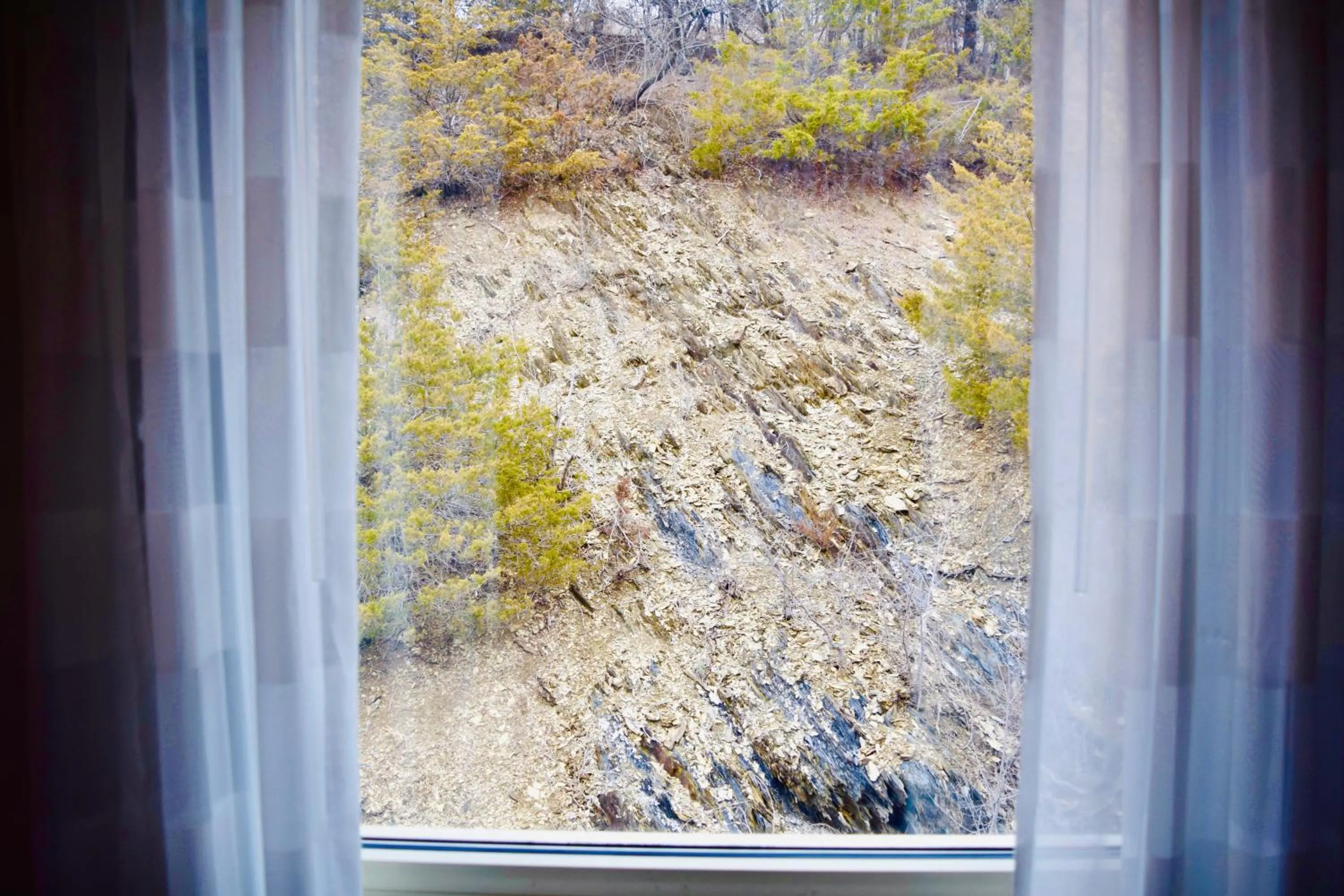 View (from property/room) in Sleep Inn Staunton