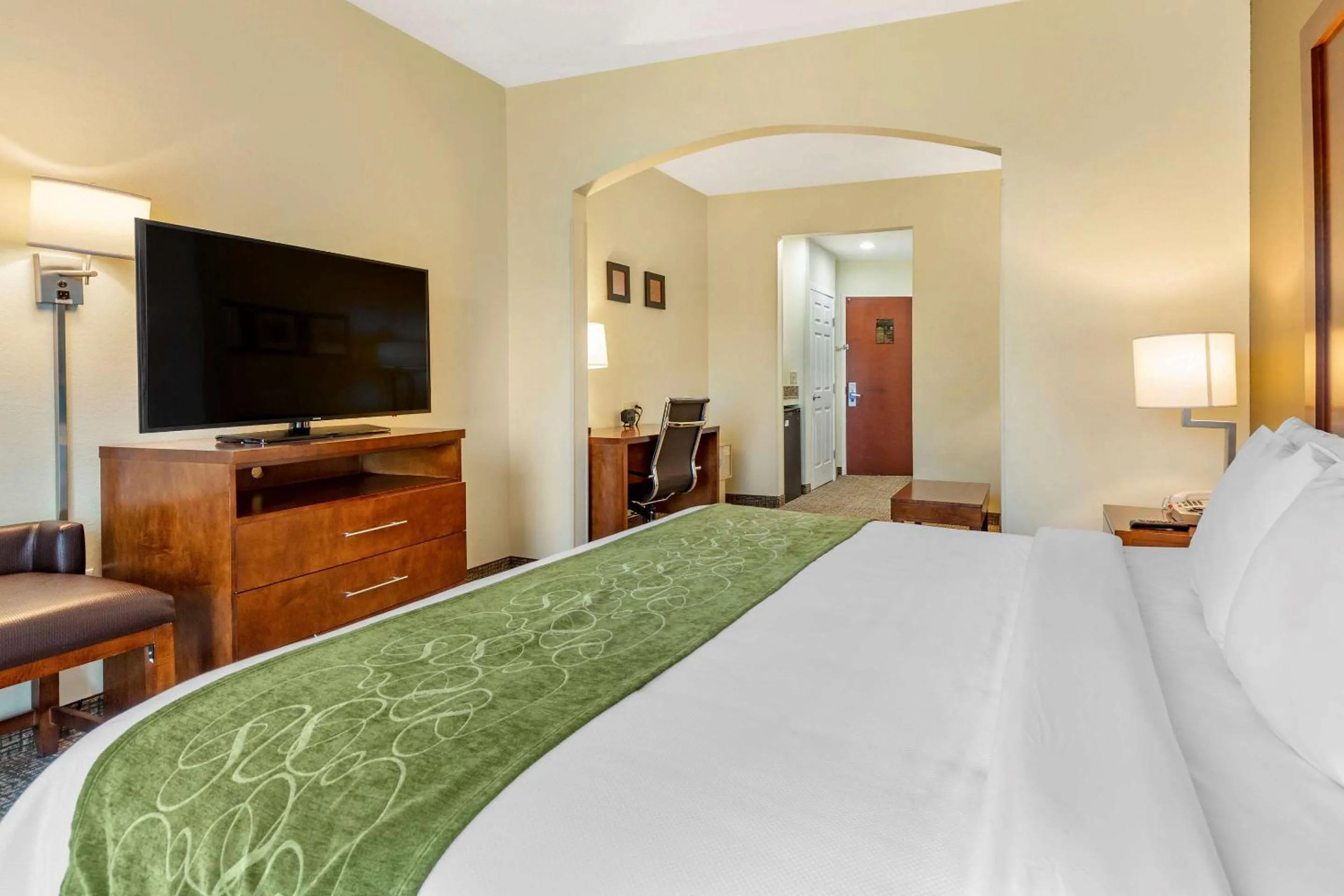 Executive King Suite - Non-Smoking in Holiday Inn Express & Suites Leesburg - Historic District by IHG