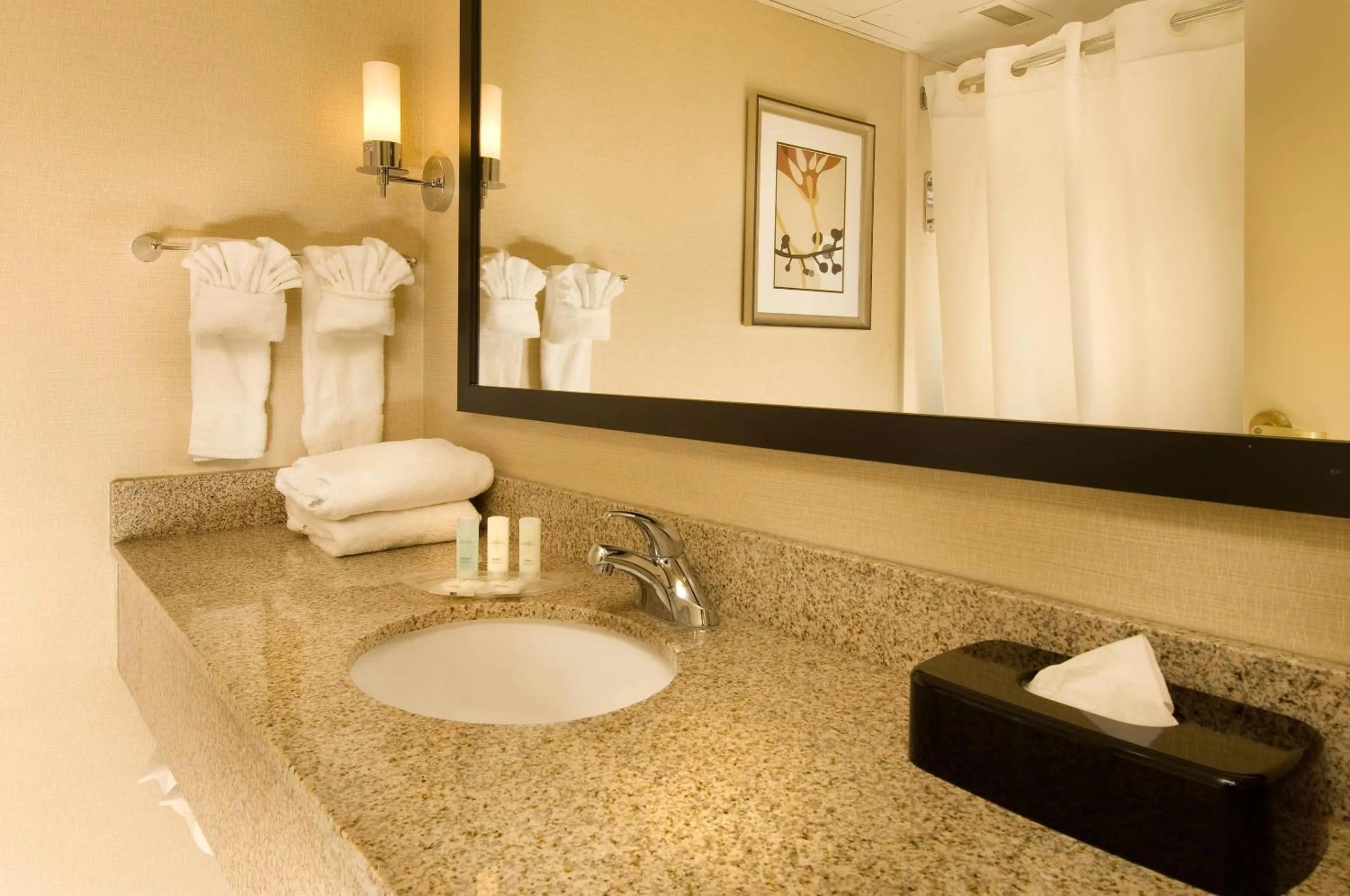 Bedroom in Comfort Suites Dulles Airport