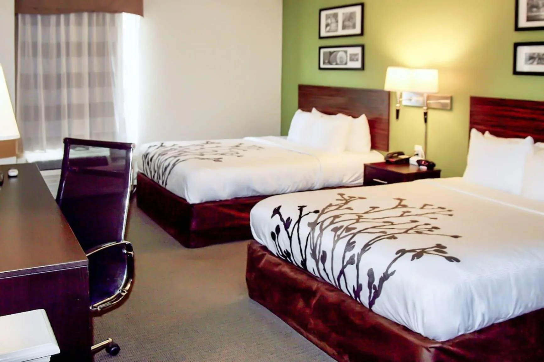 Bedroom, Bed in Sleep Inn & Suites Stony Creek - Petersburg South