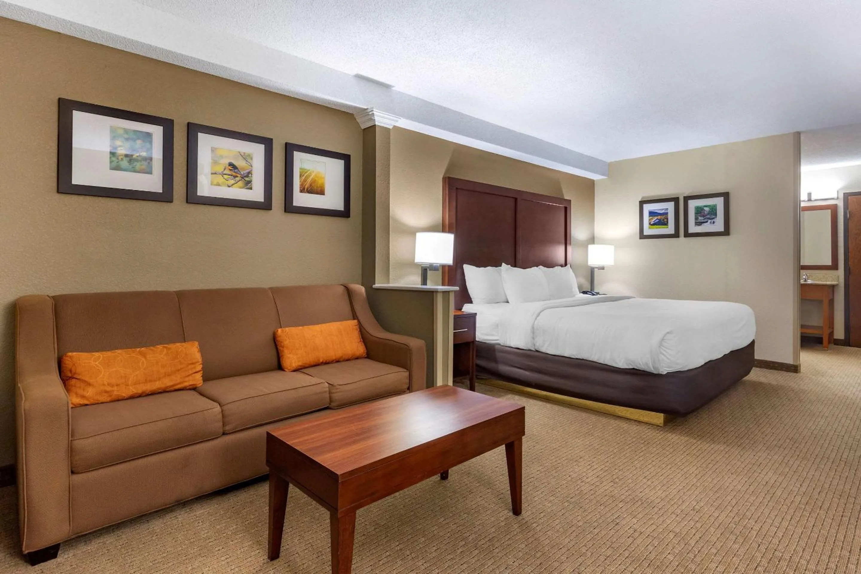 Photo of the whole room, Bed in Comfort Inn & Suites near Danville Mall