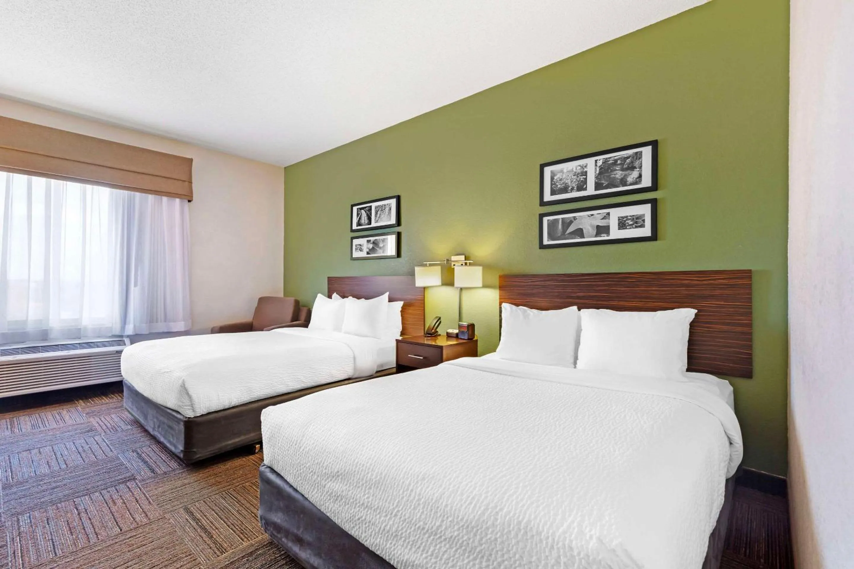 Bedroom, Bed in Sleep Inn & Suites Danville Hwy 58