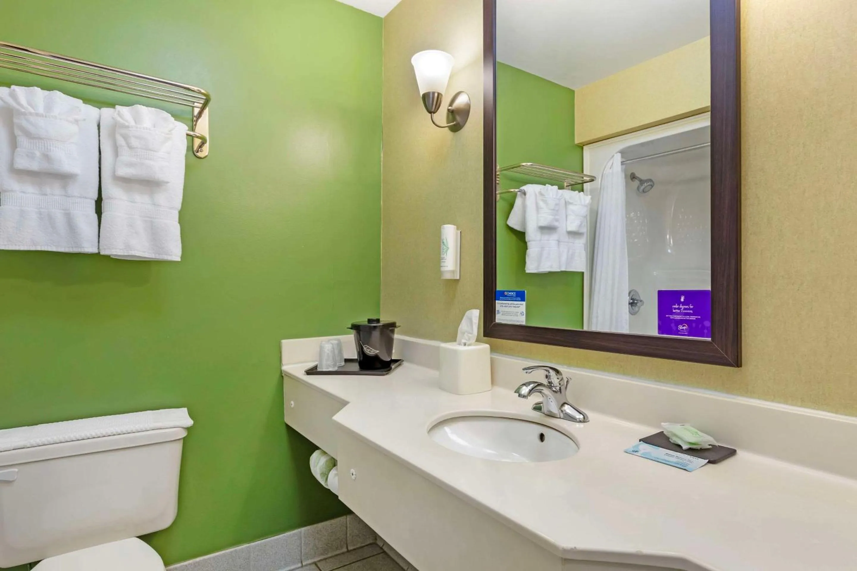 Bedroom in Sleep Inn & Suites Danville Hwy 58