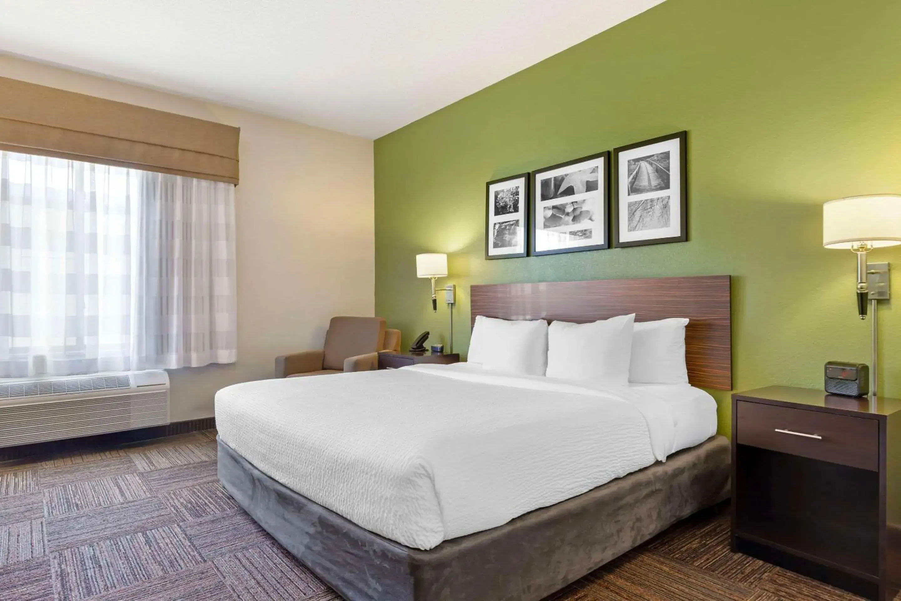 King Room in Sleep Inn & Suites Danville Hwy 58 King Room in Sleep Inn & Suites Danville Hwy 58