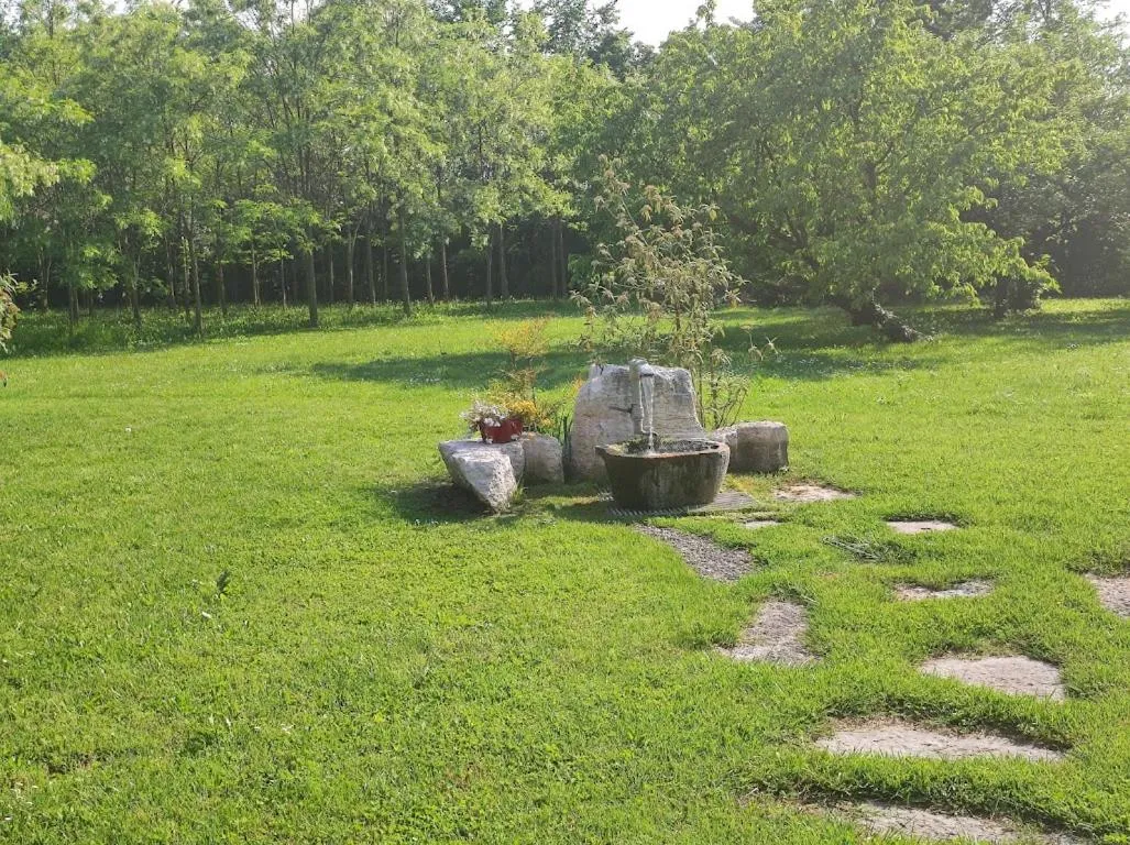 Garden view in B&B Villa Elisa