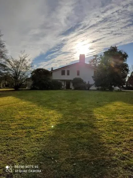 Property building in B&B Villa Elisa