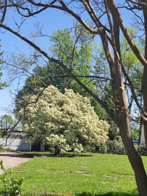 Garden in B&B Villa Elisa