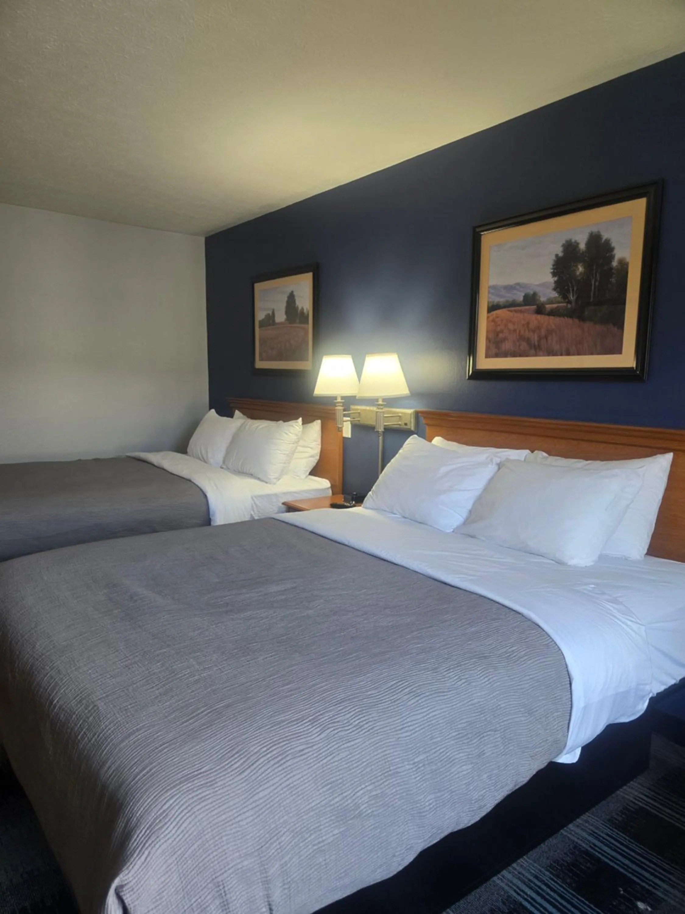 Bed in Quality Inn Dublin I-81