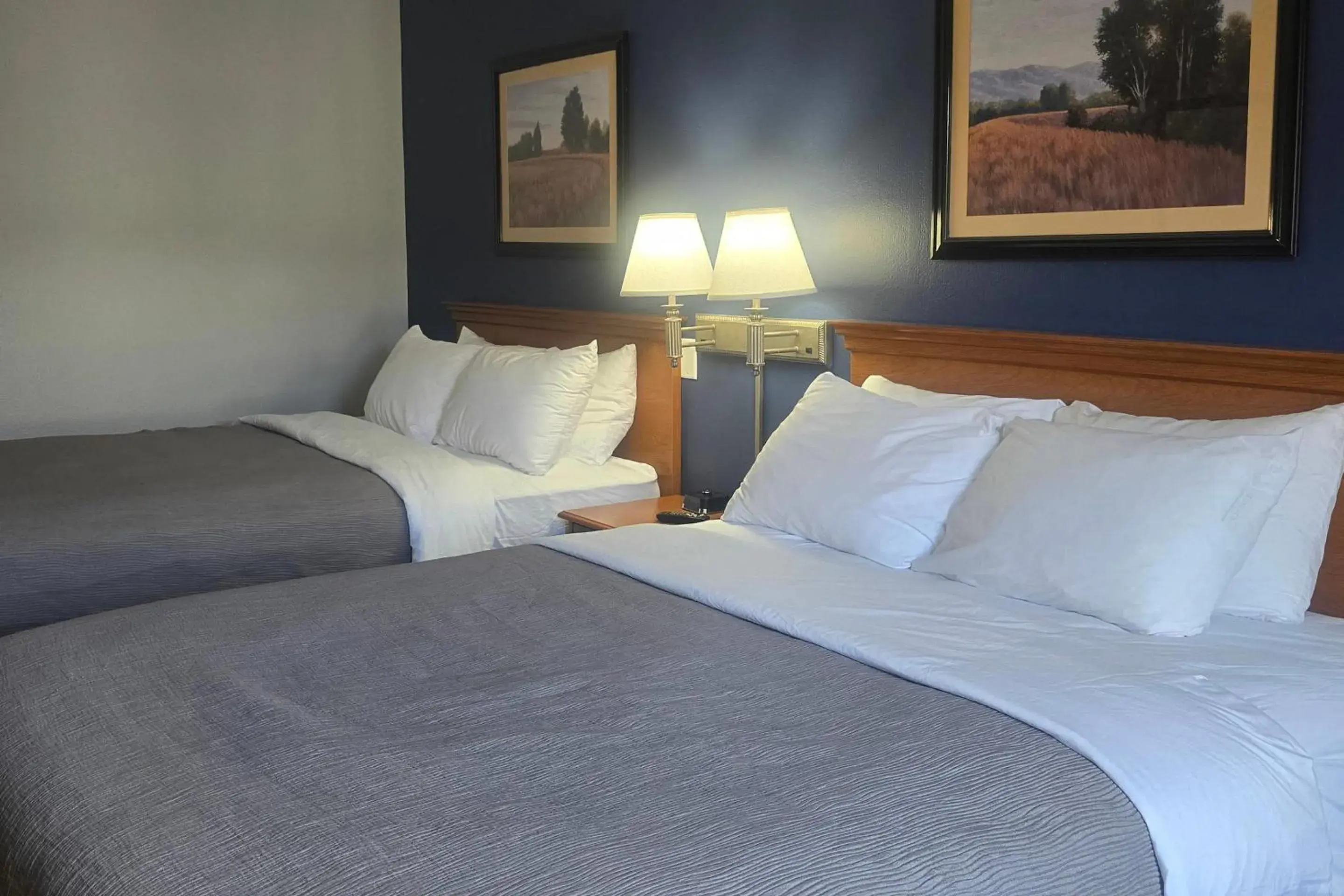 Bedroom, Bed in Quality Inn Dublin I-81 Bedroom, Bed in Quality Inn Dublin I-81