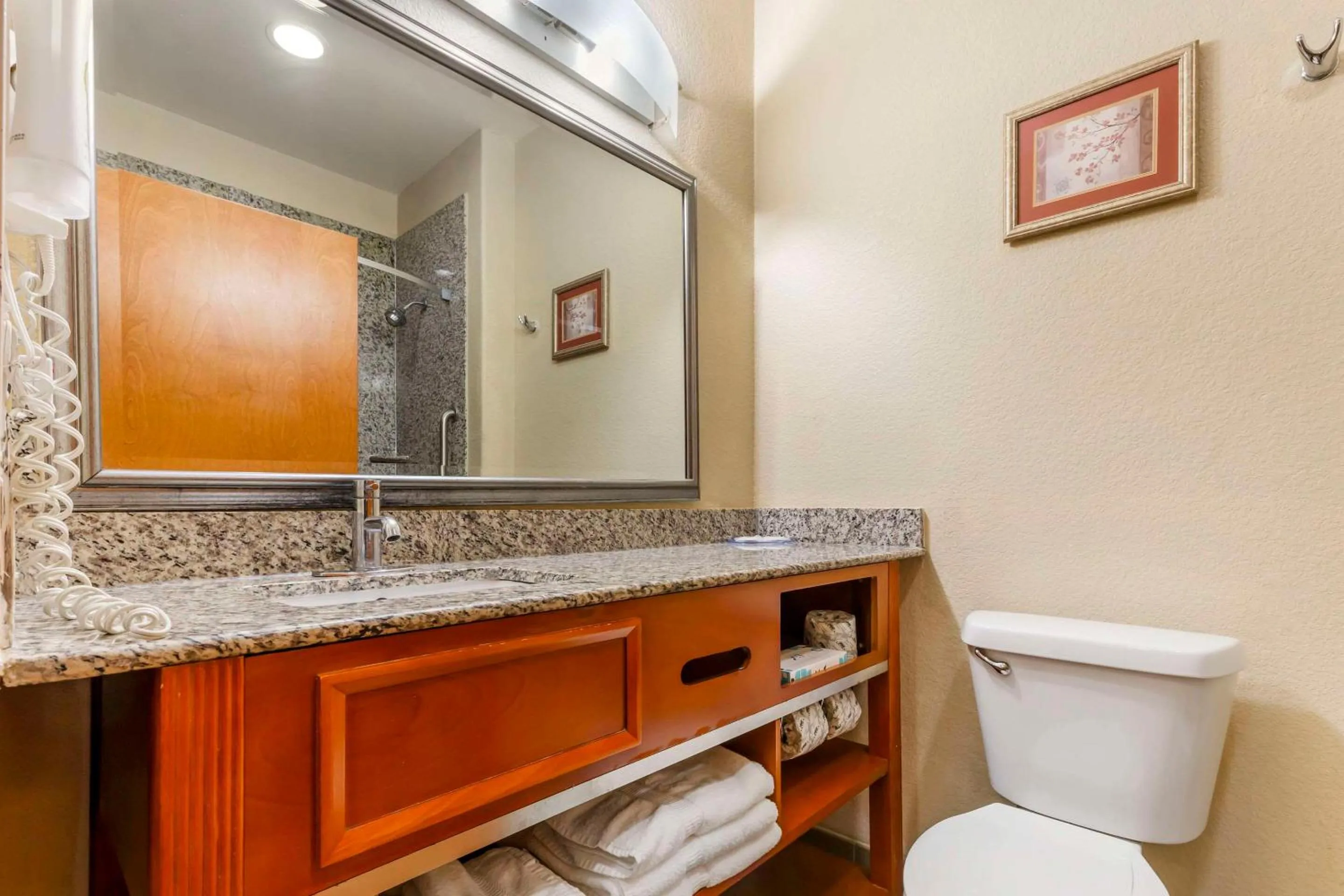 Toilet in Comfort Inn & Suites Chesapeake - Portsmouth