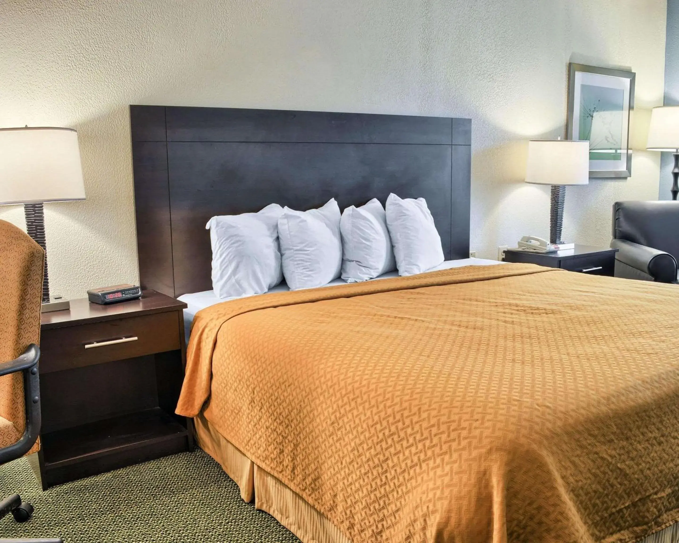 Photo of the whole room, Bed in Quality Inn Photo of the whole room, Bed in Quality Inn