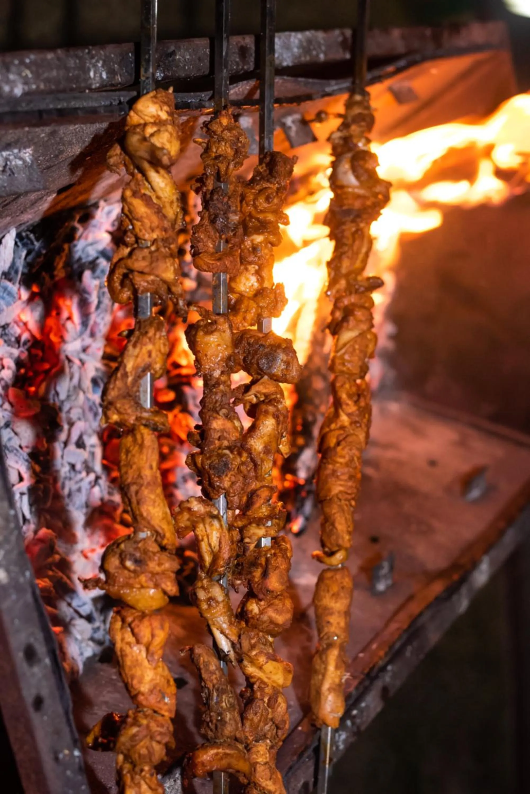 Restaurant/places to eat in Hotel Earth Light Sauraha