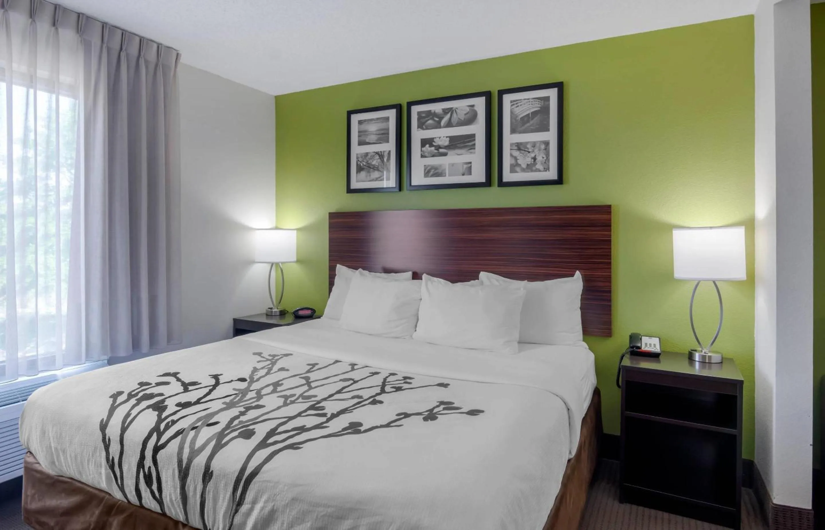 Bedroom, Bed in Sleep Inn & Suites Prince George near Fort Lee