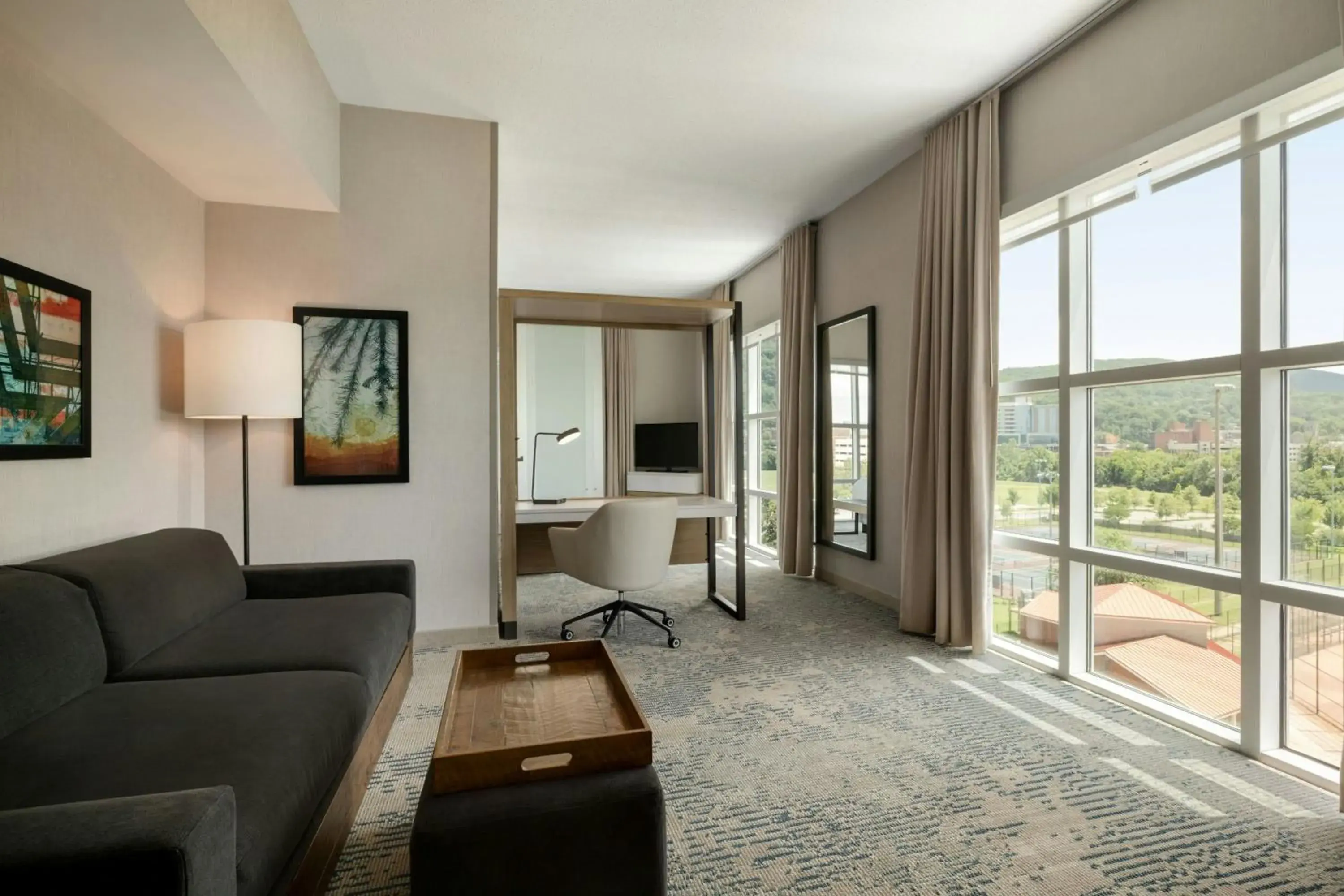 King Suite with Sofa Bed and View in SpringHill Suites by Marriott Roanoke King Suite with Sofa Bed and View in SpringHill Suites by Marriott Roanoke