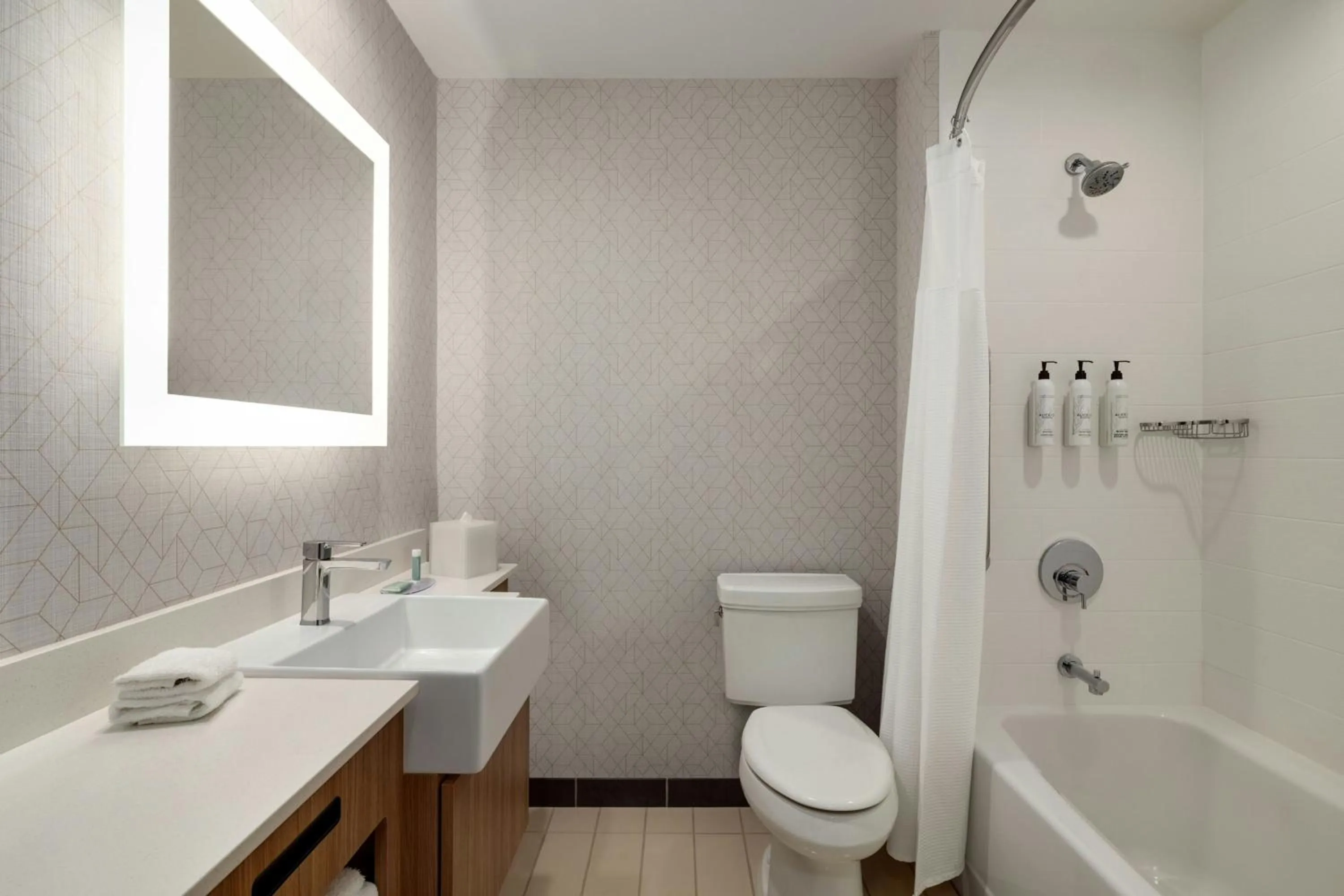 Bathroom in SpringHill Suites by Marriott Roanoke