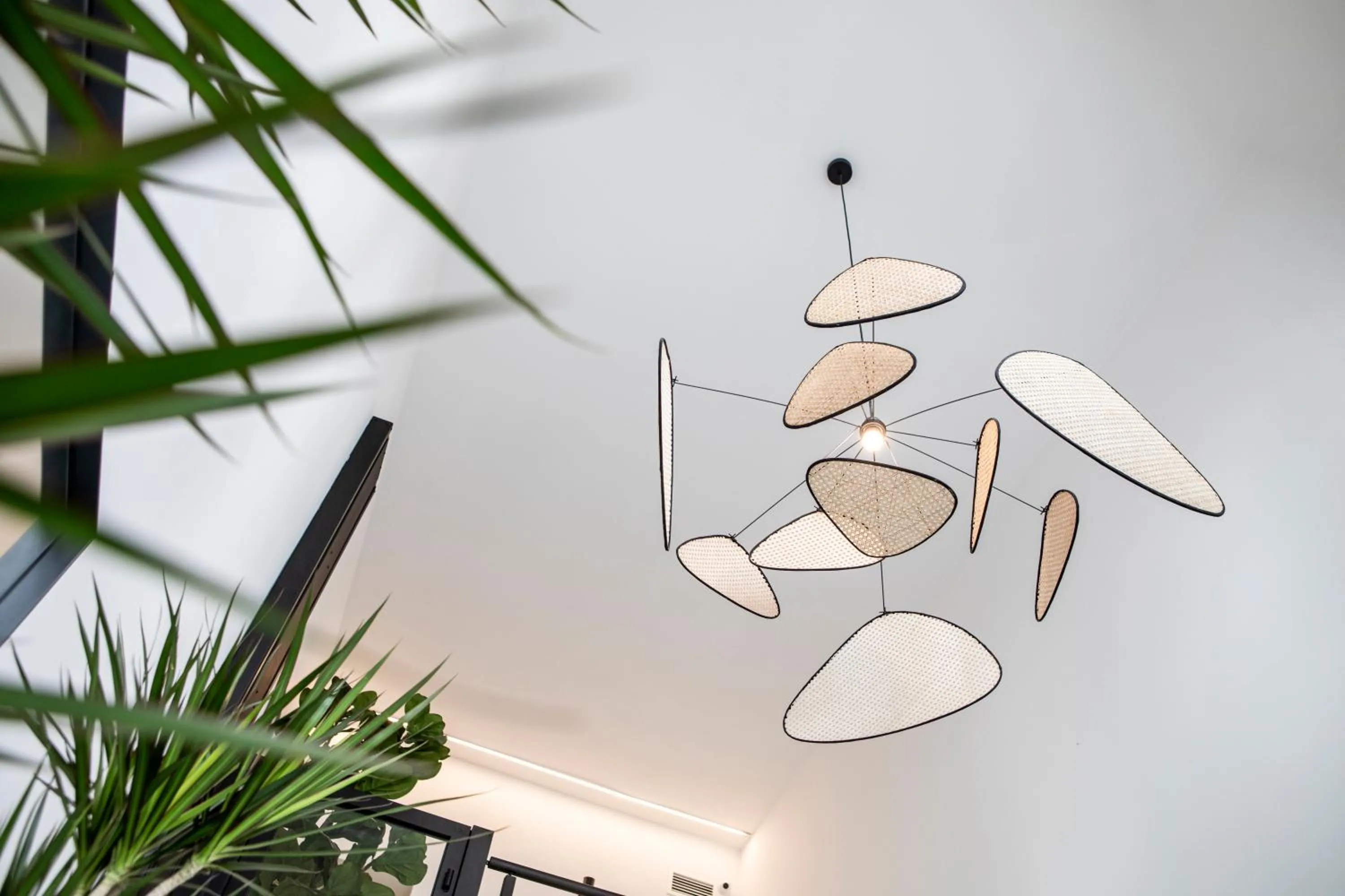 Lobby or reception in Blanq Comedias