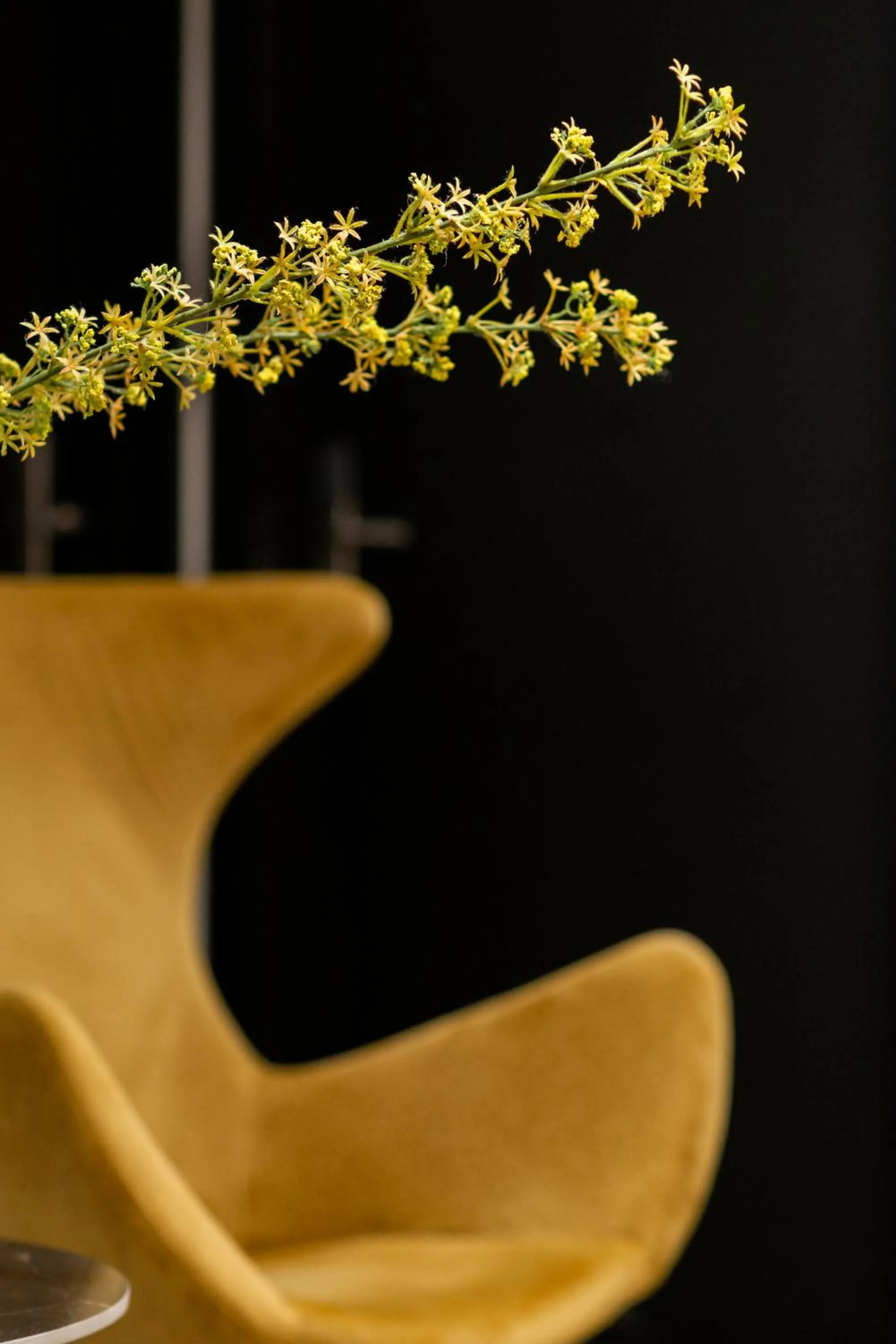 Decorative detail in Blanq Comedias