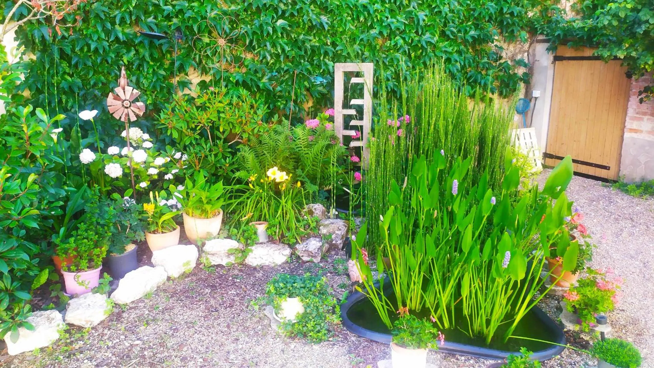 Garden in Les Salamandres