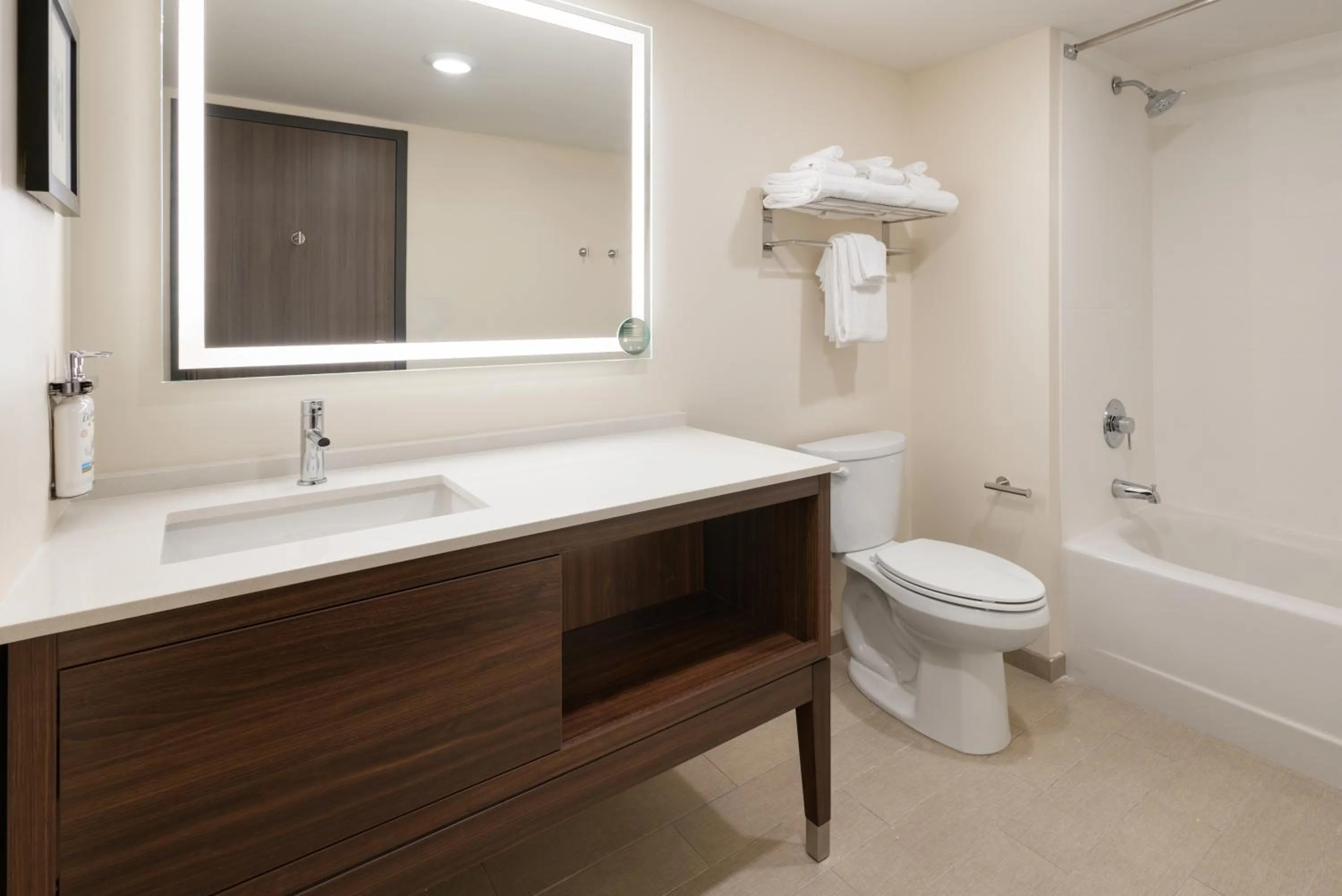 Shower in Holiday Inn & Suites Richmond West End by IHG