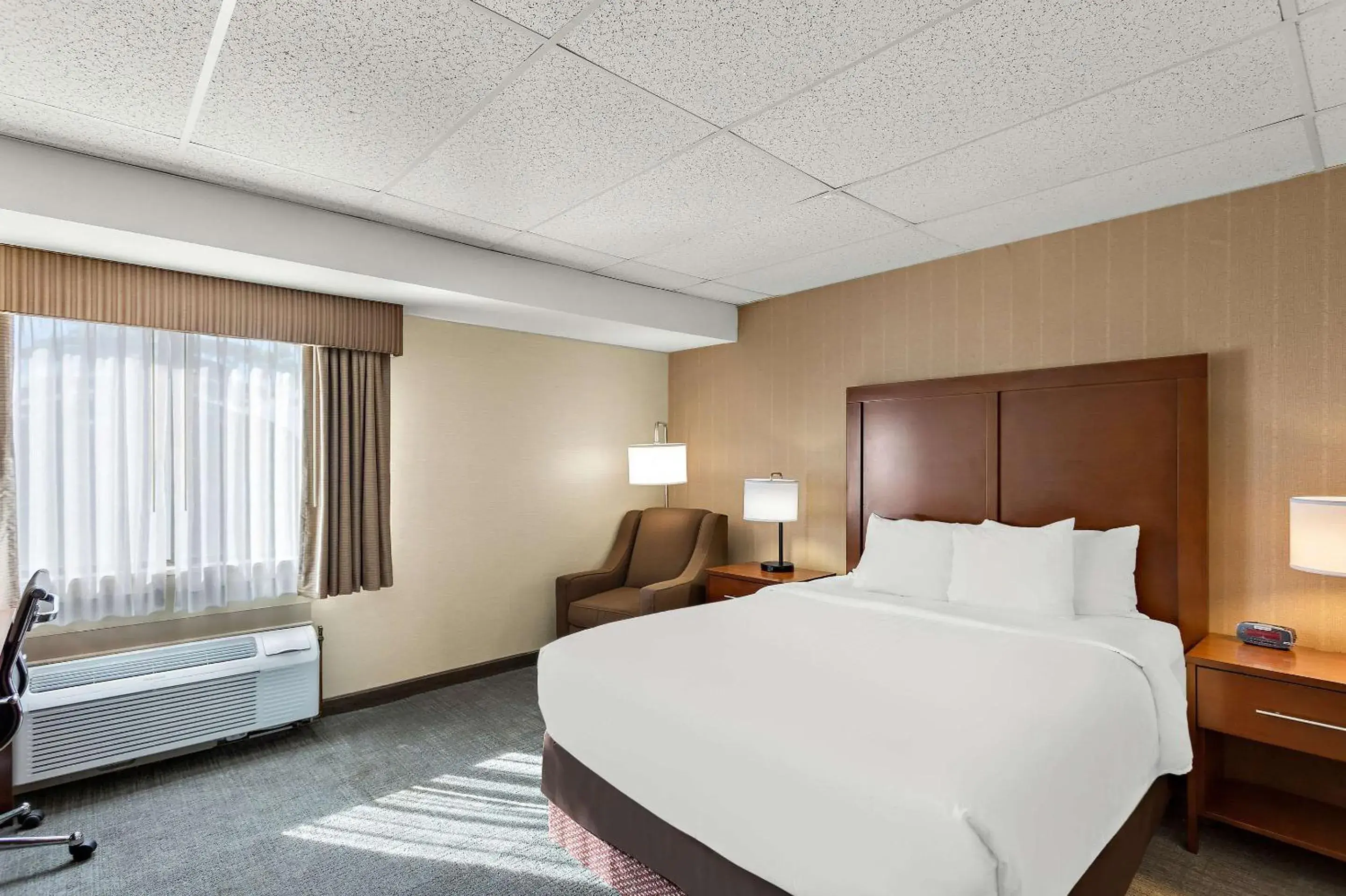 Bedroom, Bed in Comfort Inn White River Junction Bedroom, Bed in Comfort Inn White River Junction