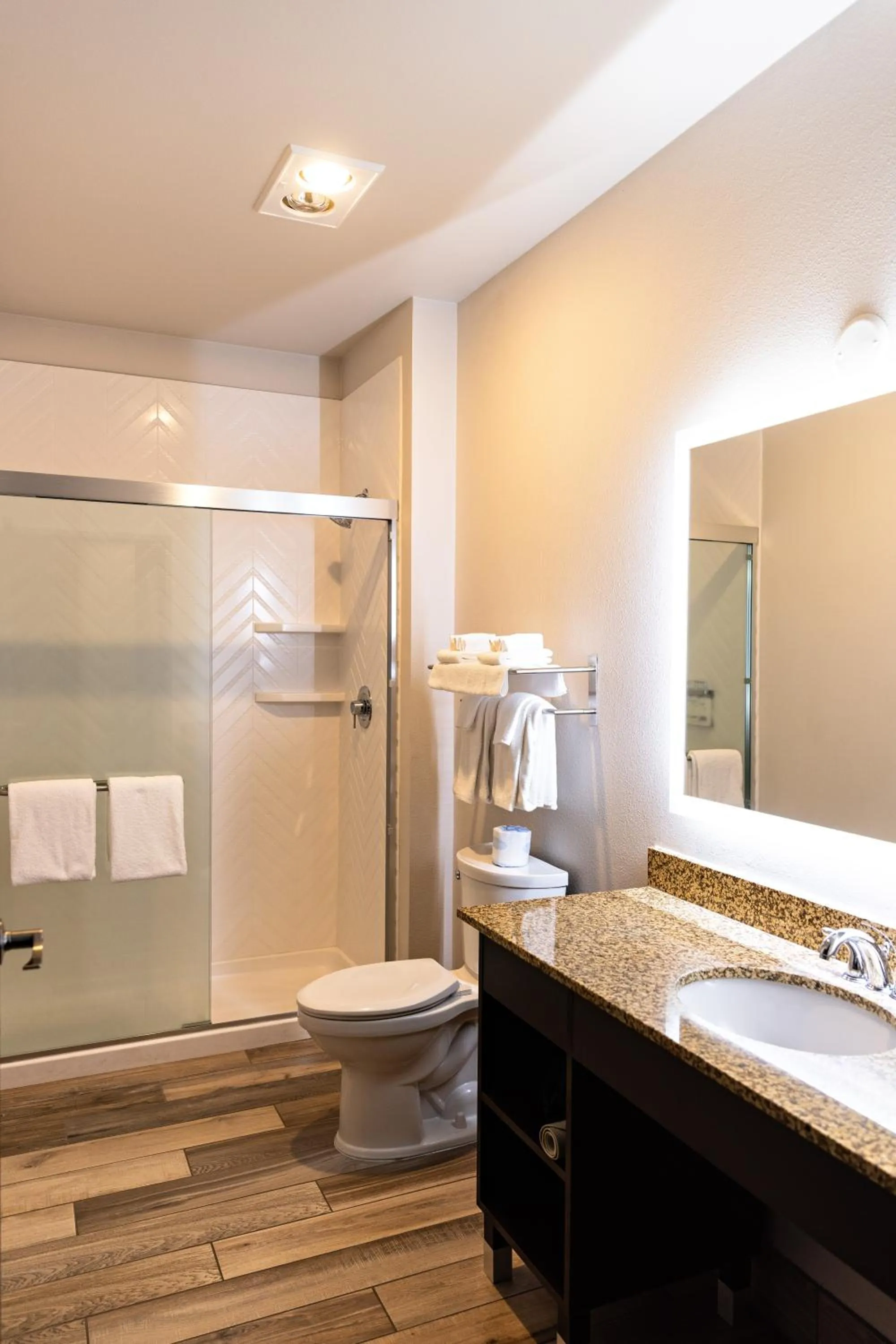 Shower in Holiday Inn Clarkston - Lewiston by IHG