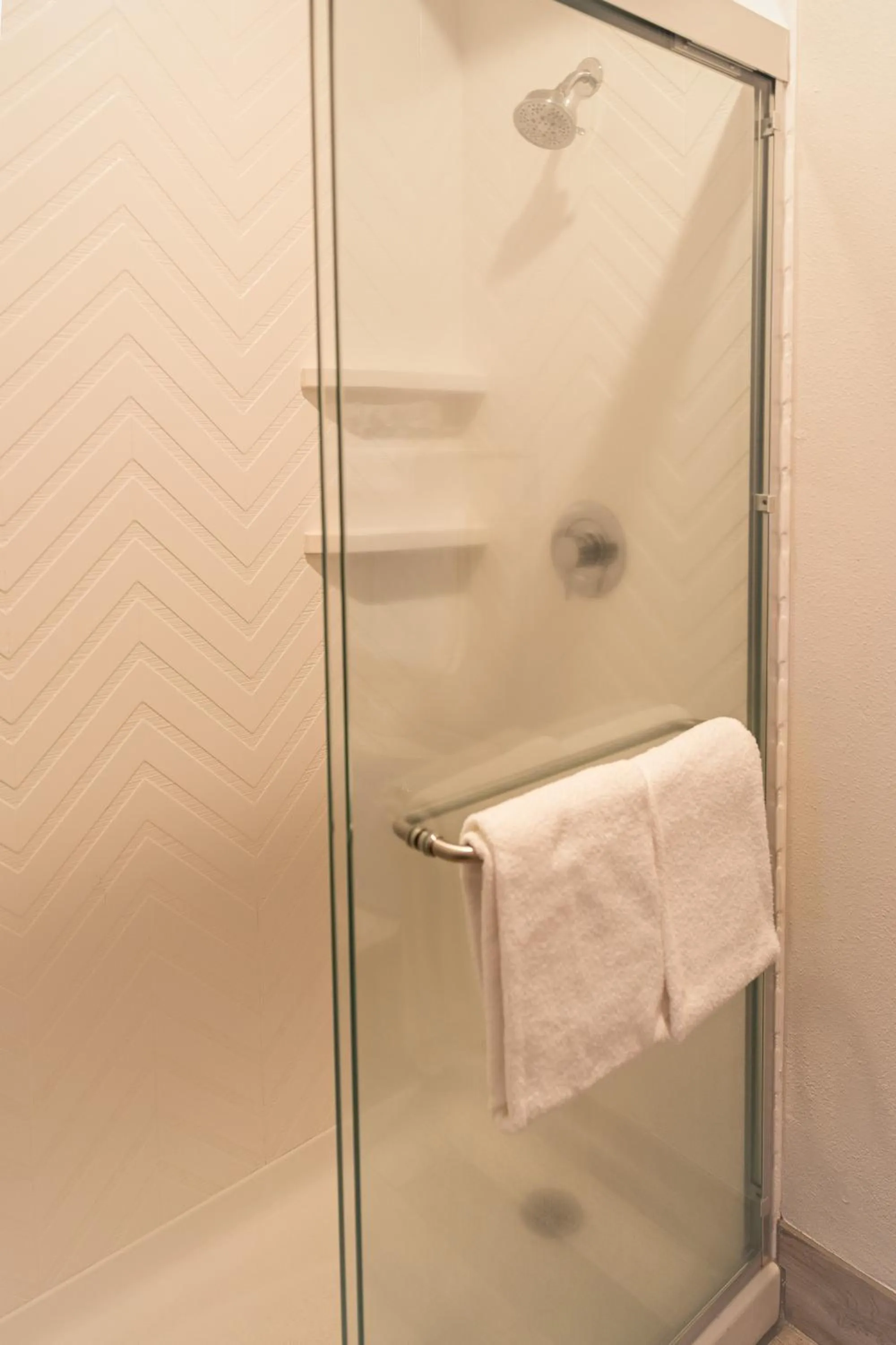 Shower in Holiday Inn Clarkston - Lewiston by IHG