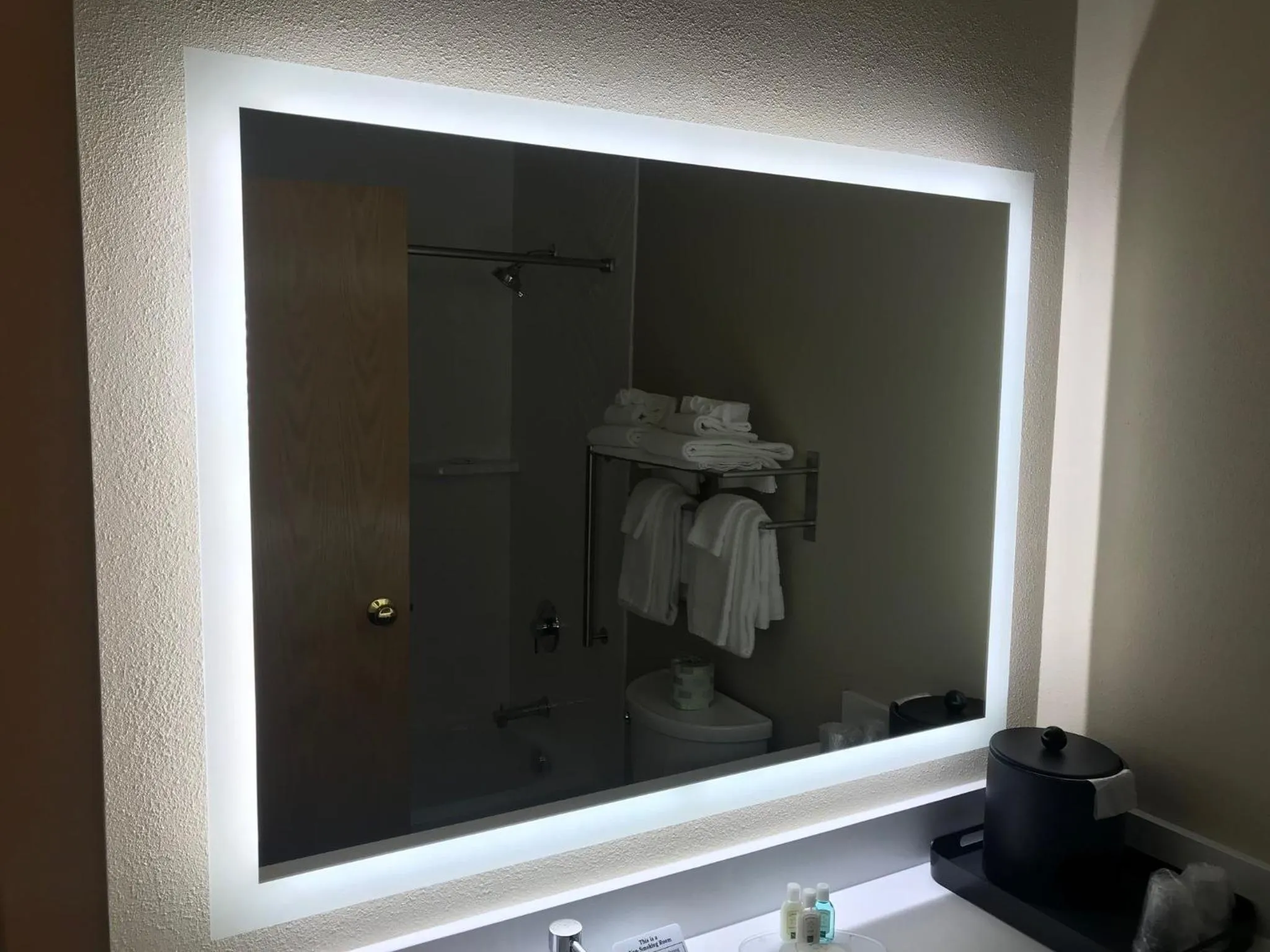 Bathroom in Holiday Inn Clarkston - Lewiston by IHG