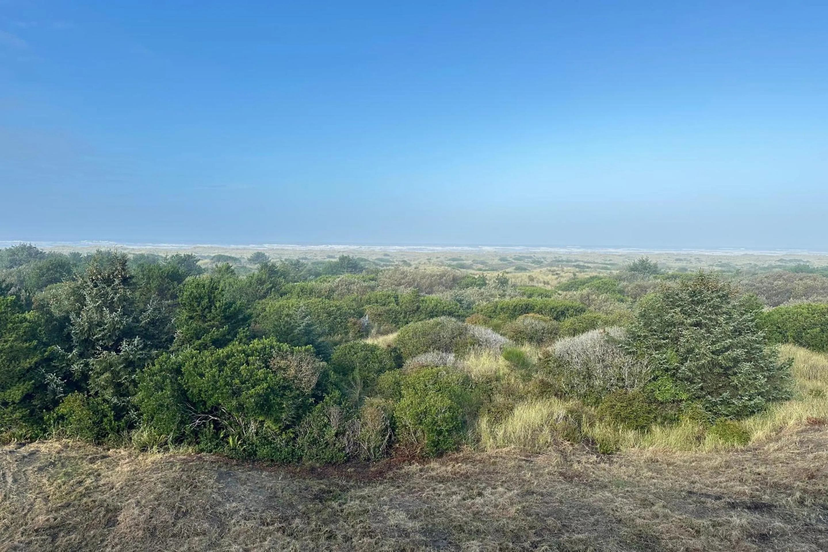 Ocean Paradise Hotel & Resort