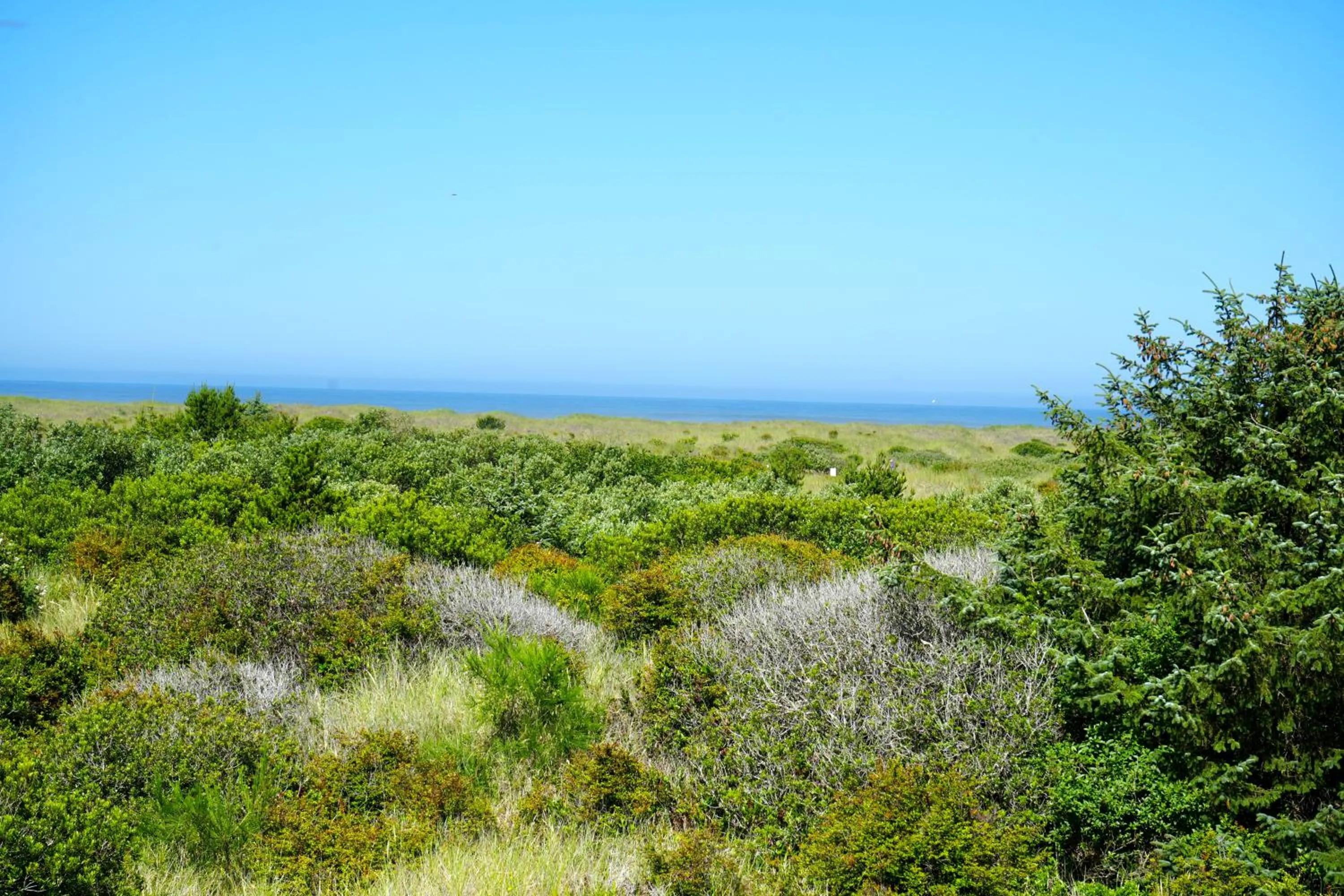 Ocean Paradise Hotel & Resort