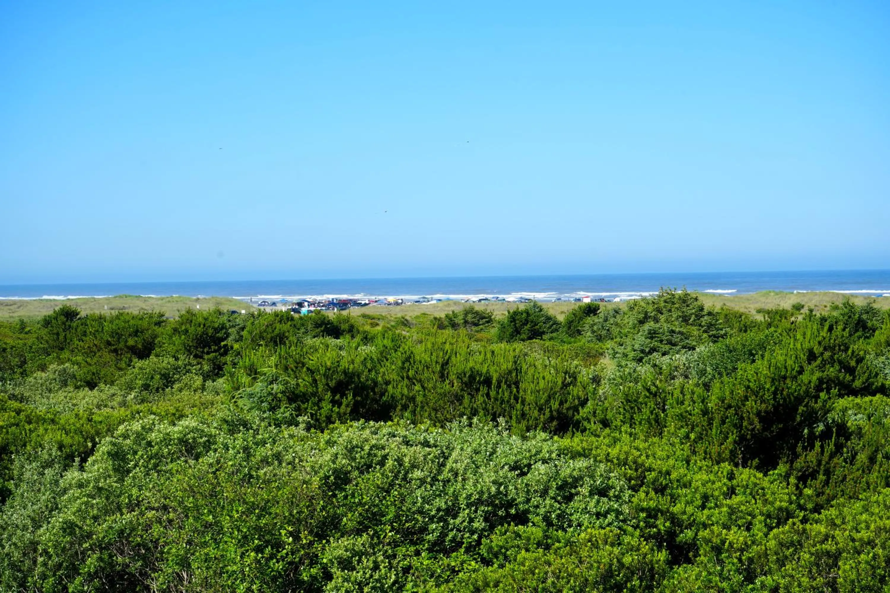 Ocean Paradise Hotel & Resort