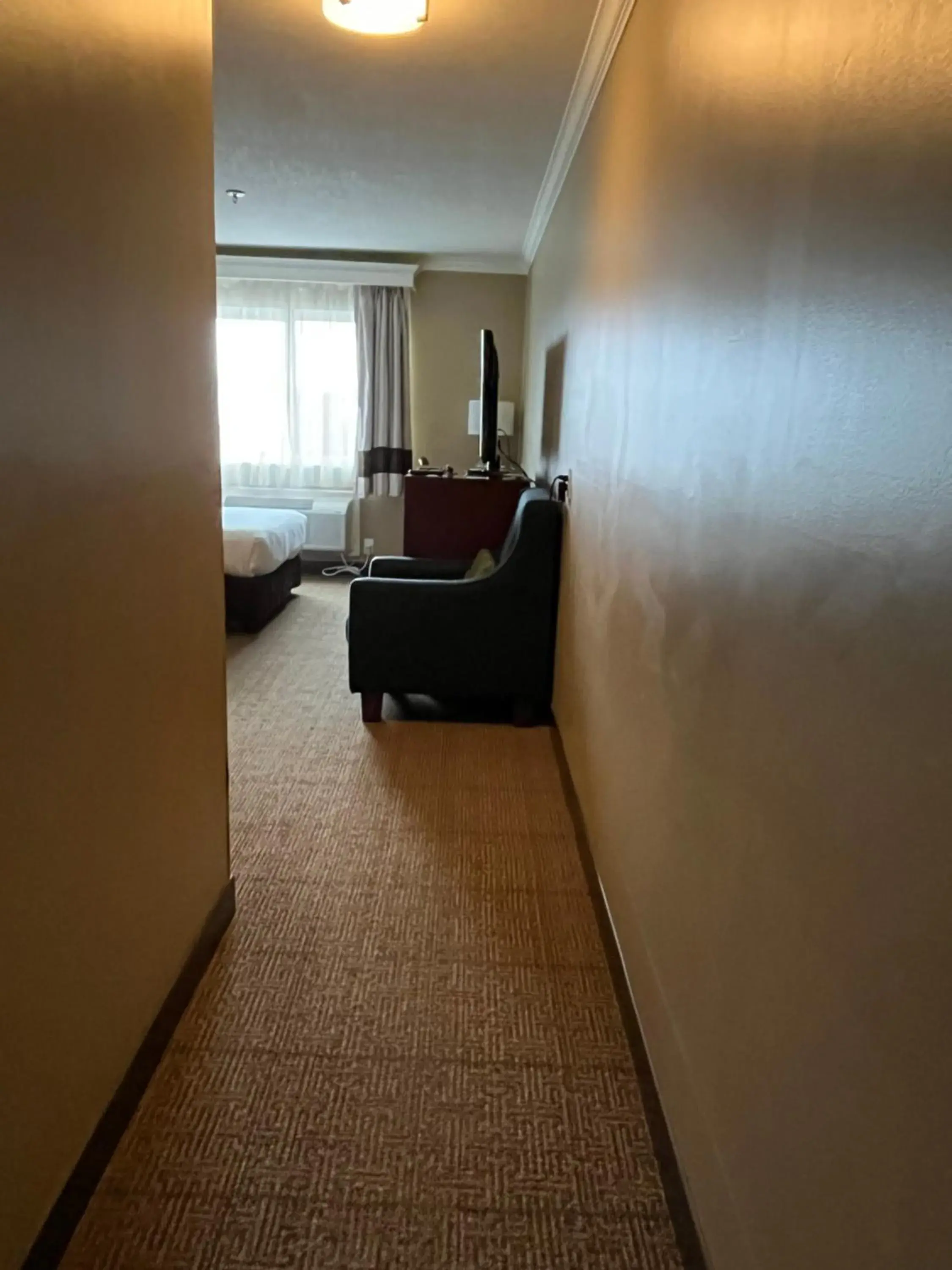 Seating area, Bed in Comfort Inn & Suites Ocean Shores Seating area, Bed in Comfort Inn & Suites Ocean Shores