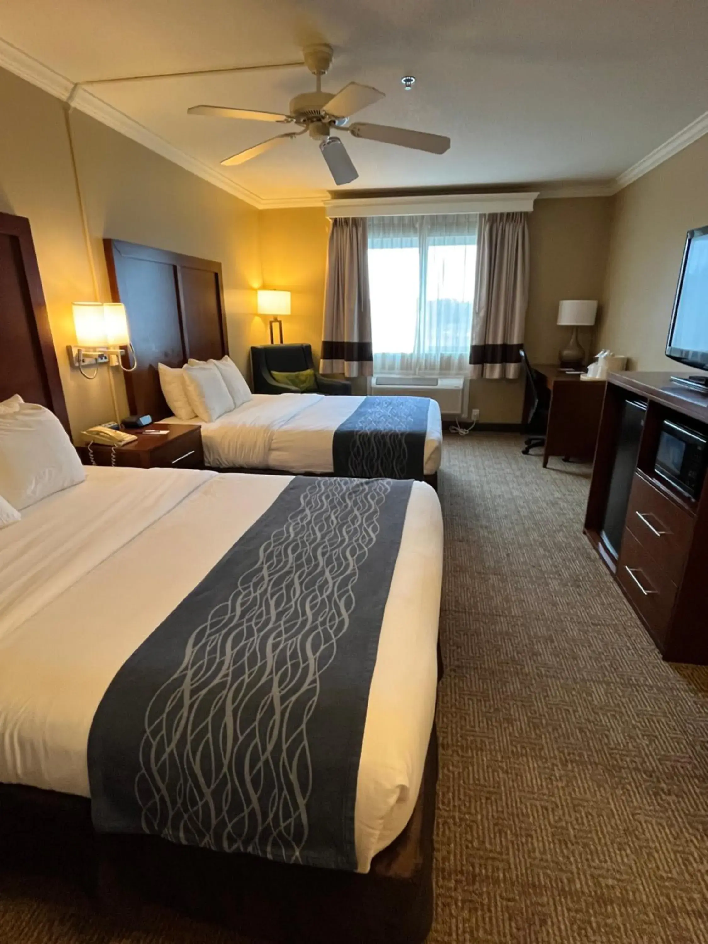 Bedroom, Bed in Comfort Inn & Suites Ocean Shores Bedroom, Bed in Comfort Inn & Suites Ocean Shores