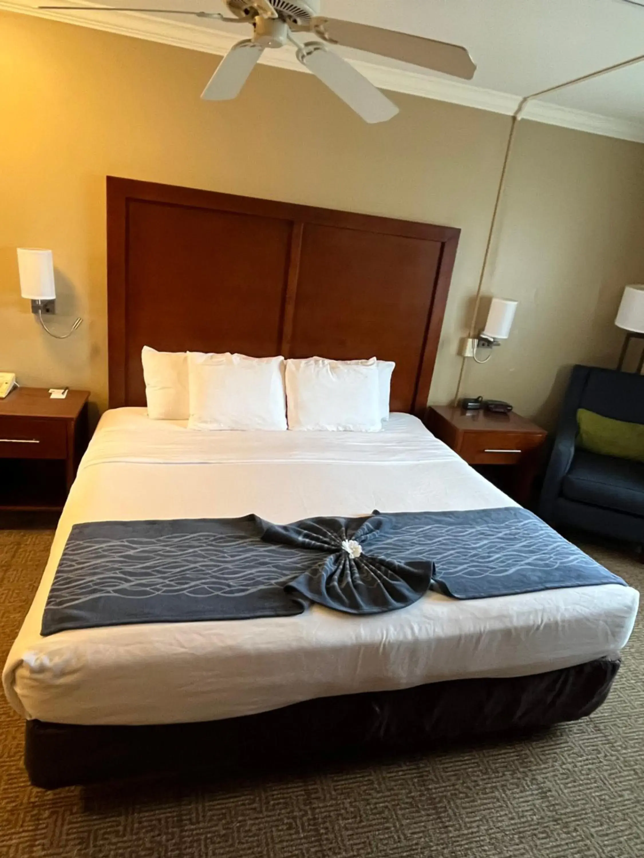 Property building, Bed in Comfort Inn & Suites Ocean Shores Property building, Bed in Comfort Inn & Suites Ocean Shores