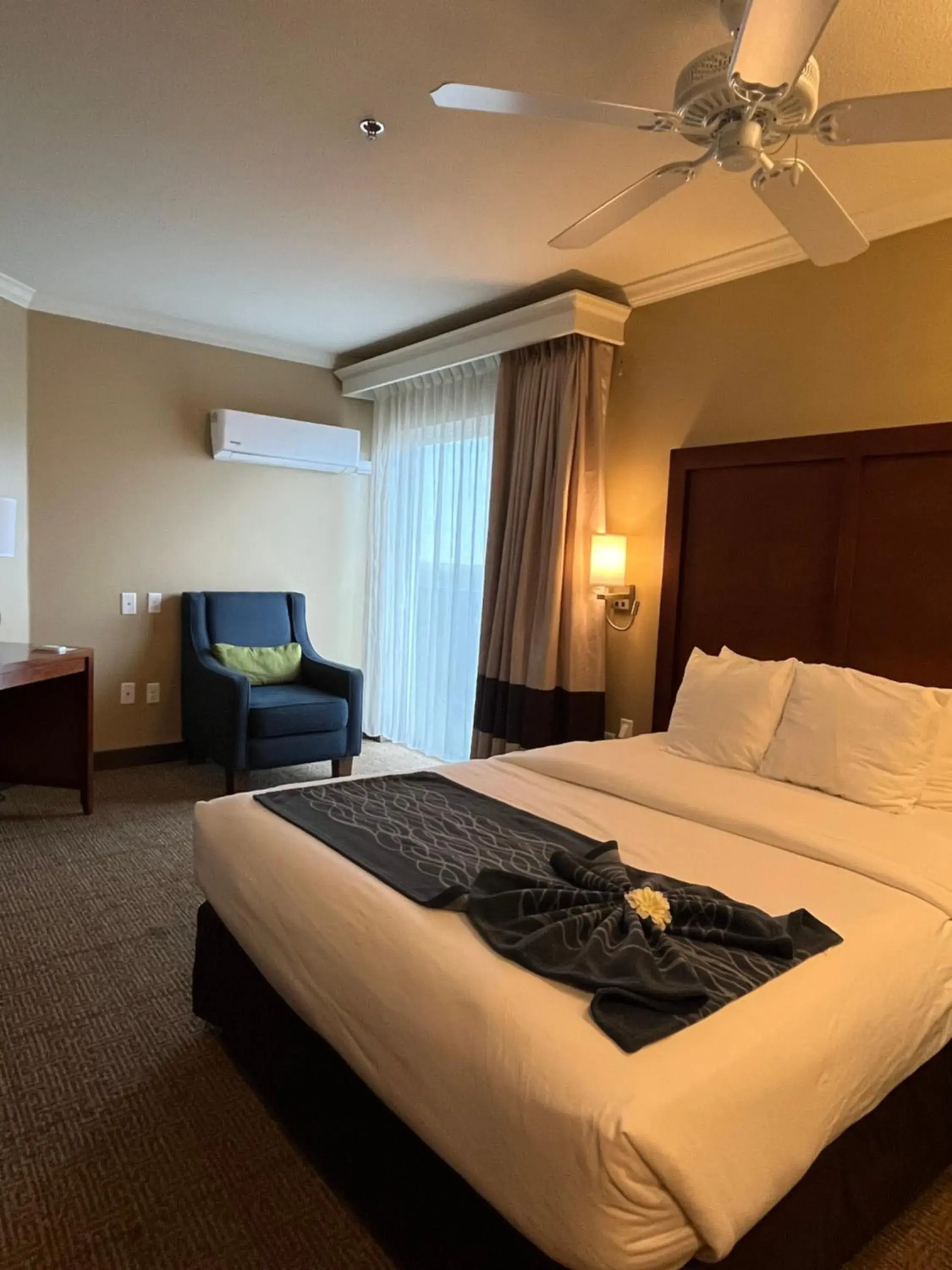 Bedroom, Bed in Comfort Inn & Suites Ocean Shores Bedroom, Bed in Comfort Inn & Suites Ocean Shores