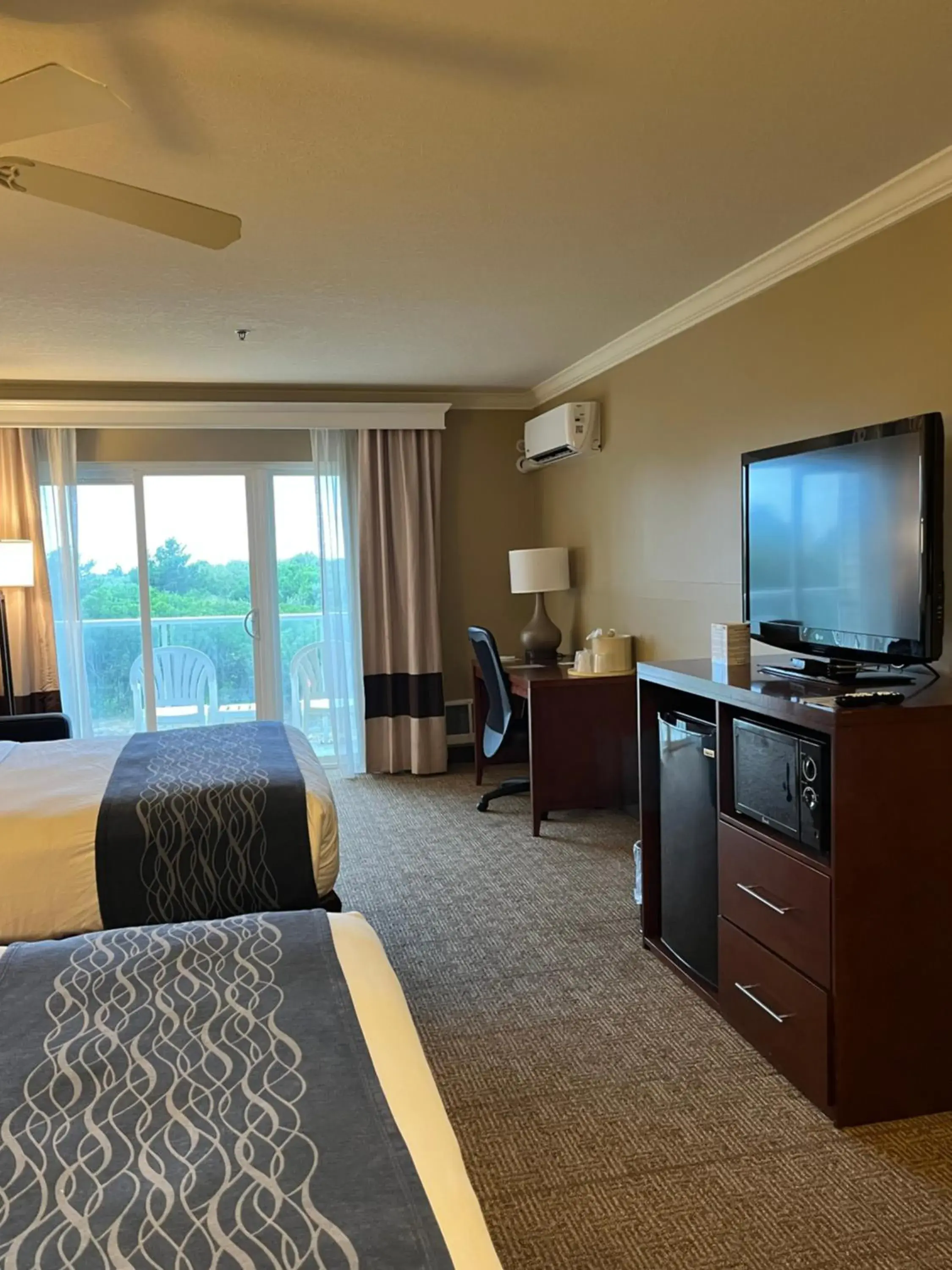 Bed in Comfort Inn & Suites Ocean Shores Bed in Comfort Inn & Suites Ocean Shores