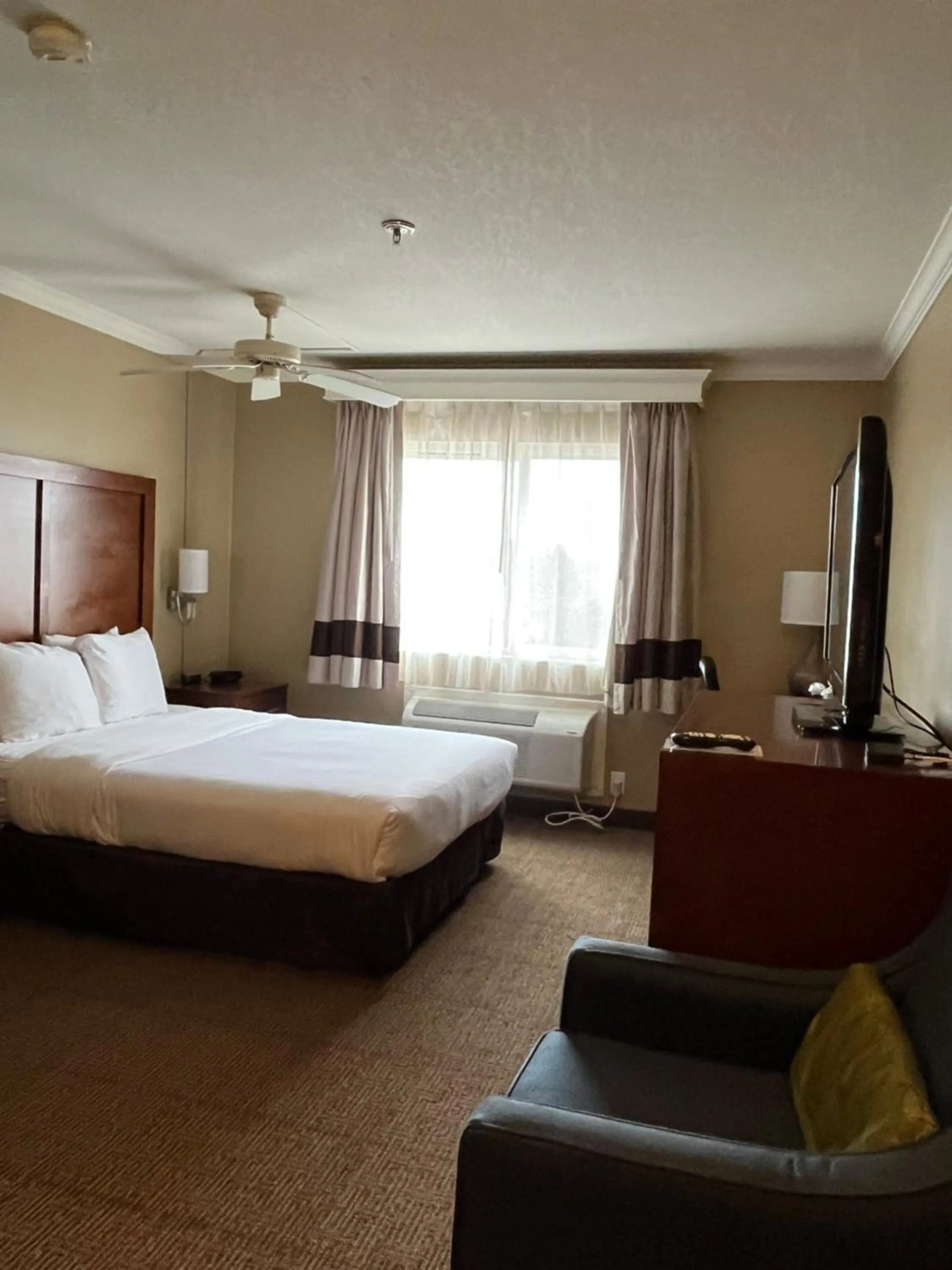 Bed in Comfort Inn & Suites Ocean Shores