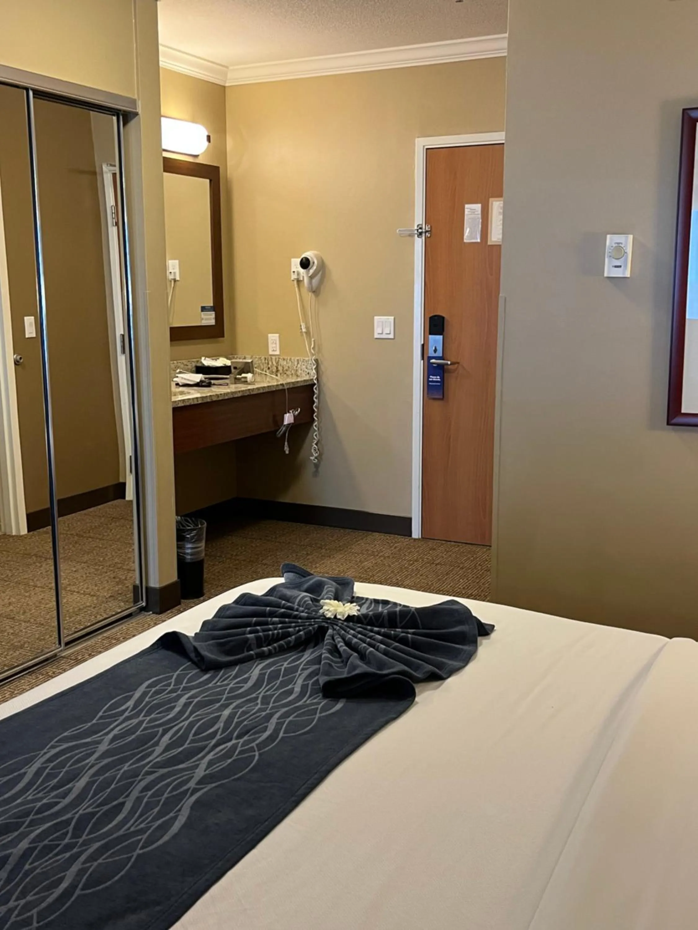 Bedroom, Bed in Comfort Inn & Suites Ocean Shores