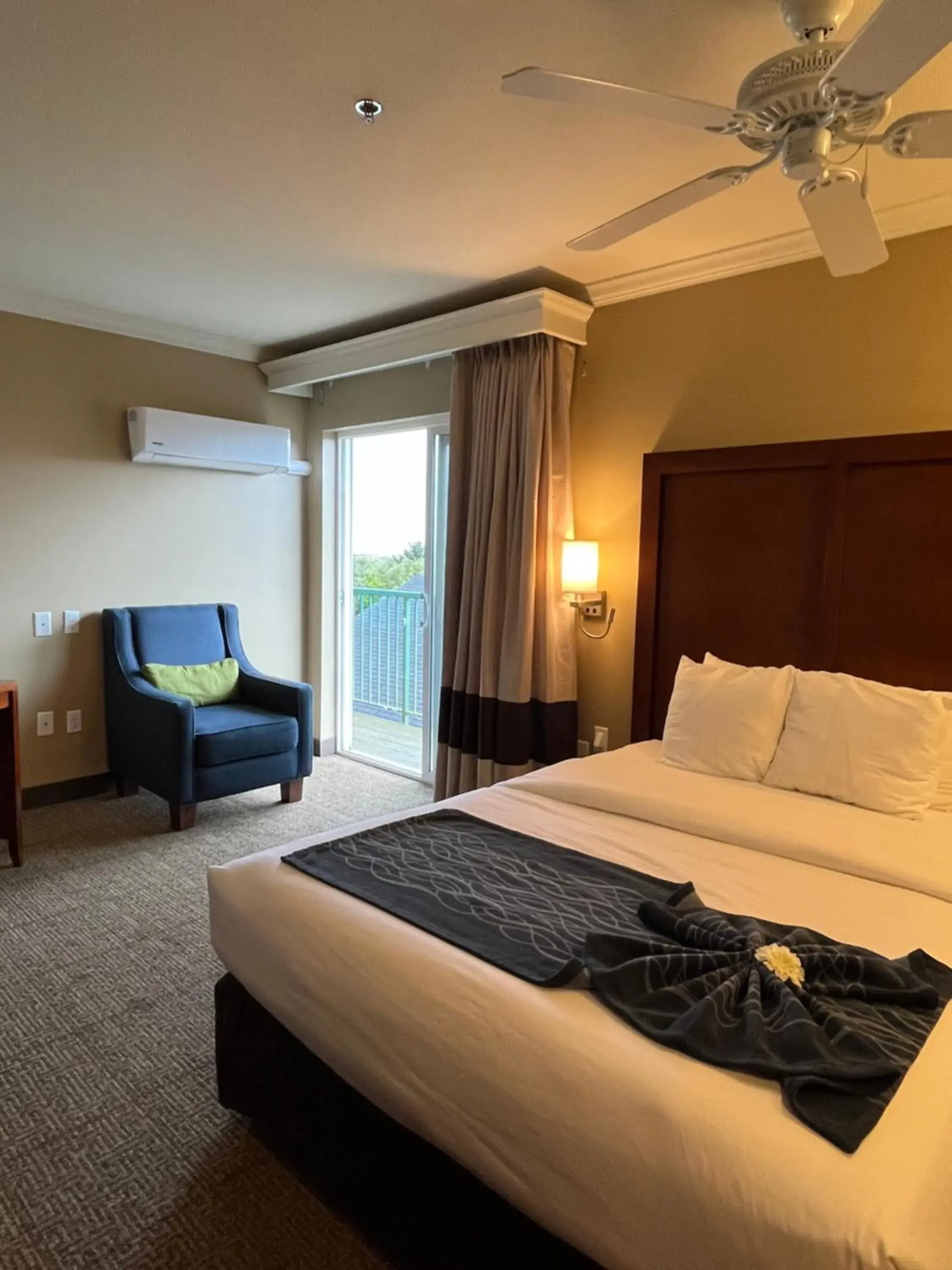 Bedroom, Bed in Comfort Inn & Suites Ocean Shores Bedroom, Bed in Comfort Inn & Suites Ocean Shores