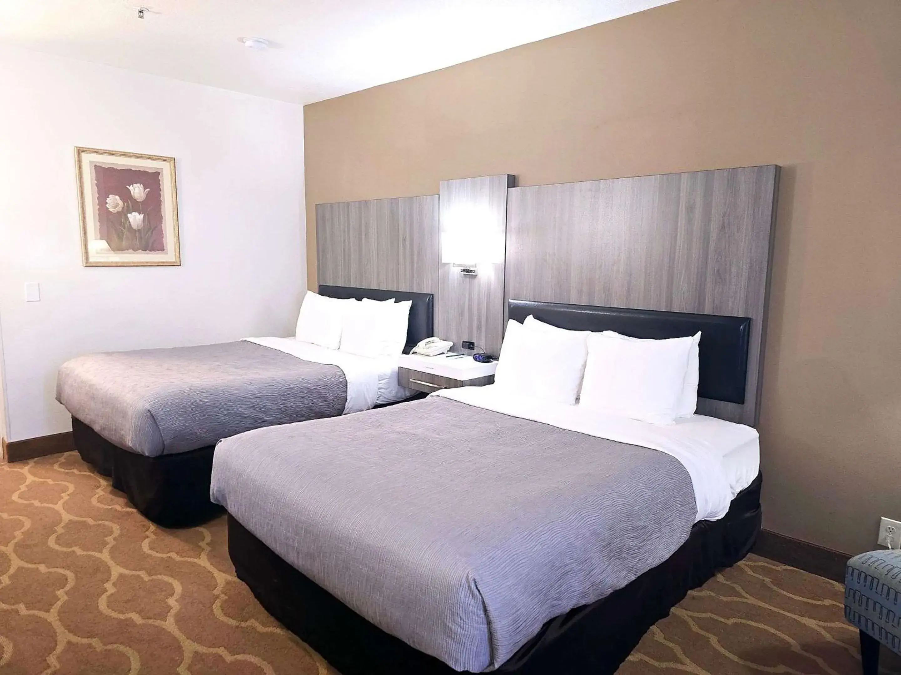 Bedroom, Bed in Quality Inn & Suites Longview Kelso Bedroom, Bed in Quality Inn & Suites Longview Kelso