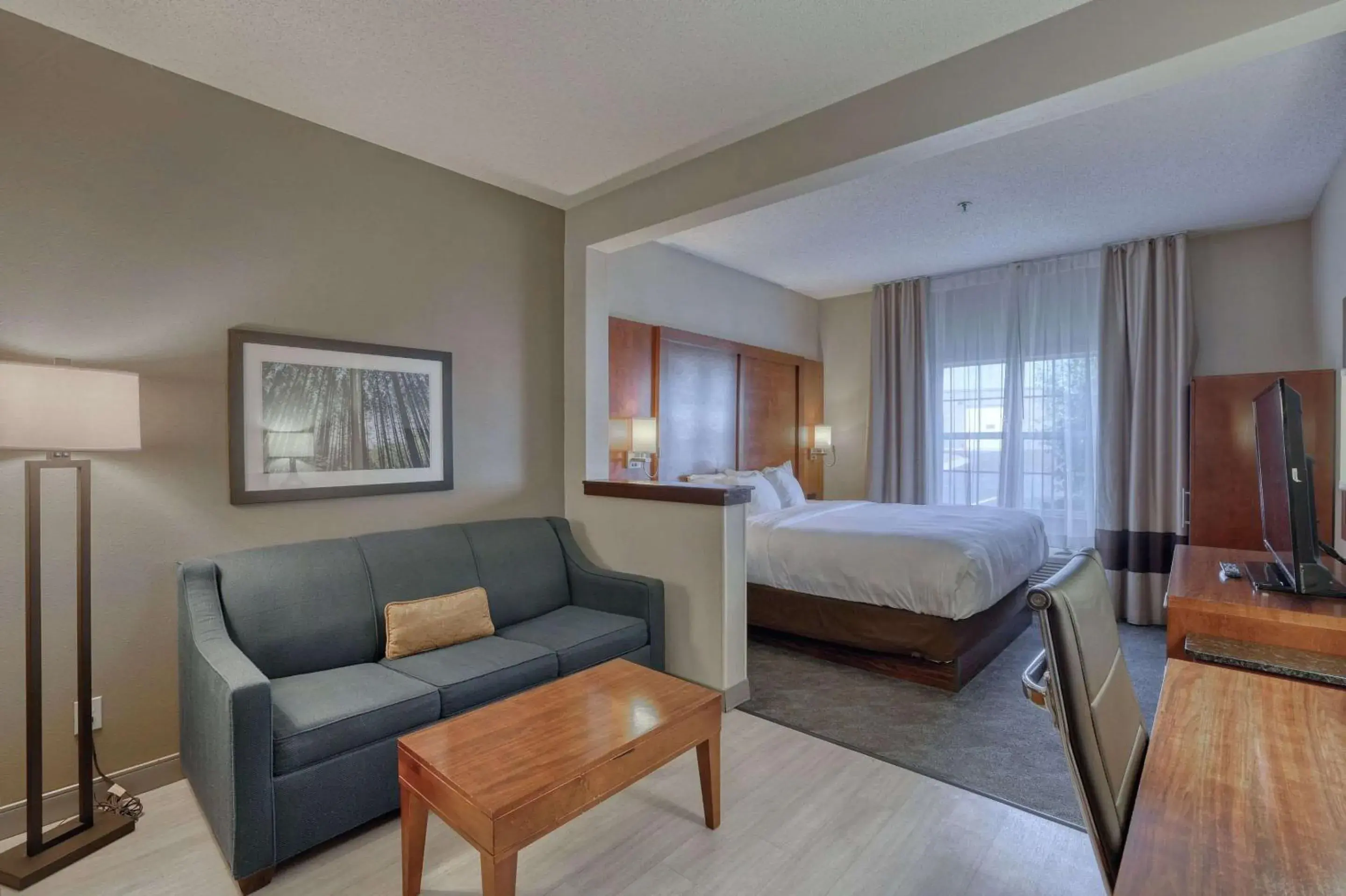 Standard King Suite - Non-Smoking in Comfort Suites Appleton Airport Standard King Suite - Non-Smoking in Comfort Suites Appleton Airport