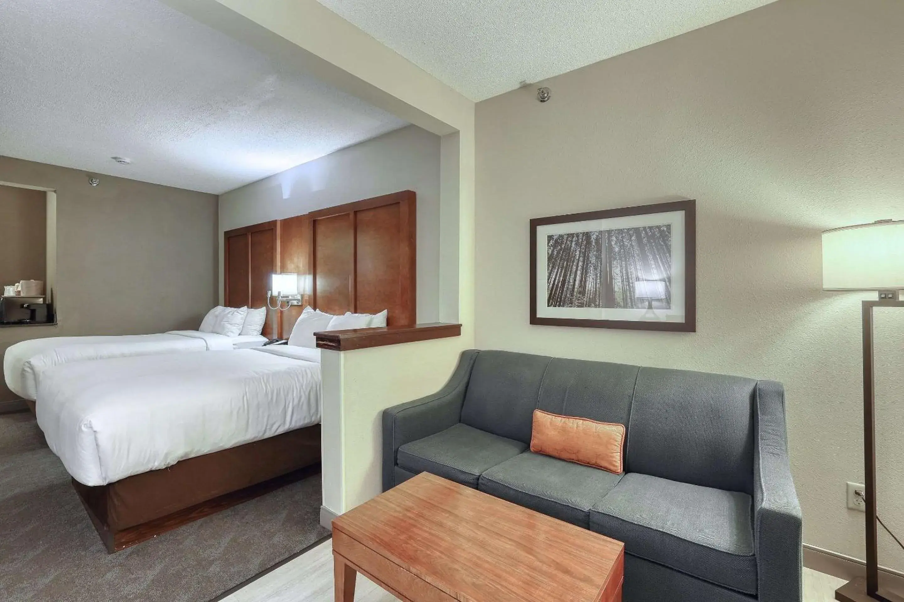 Bedroom, Bed in Comfort Suites Appleton Airport Bedroom, Bed in Comfort Suites Appleton Airport