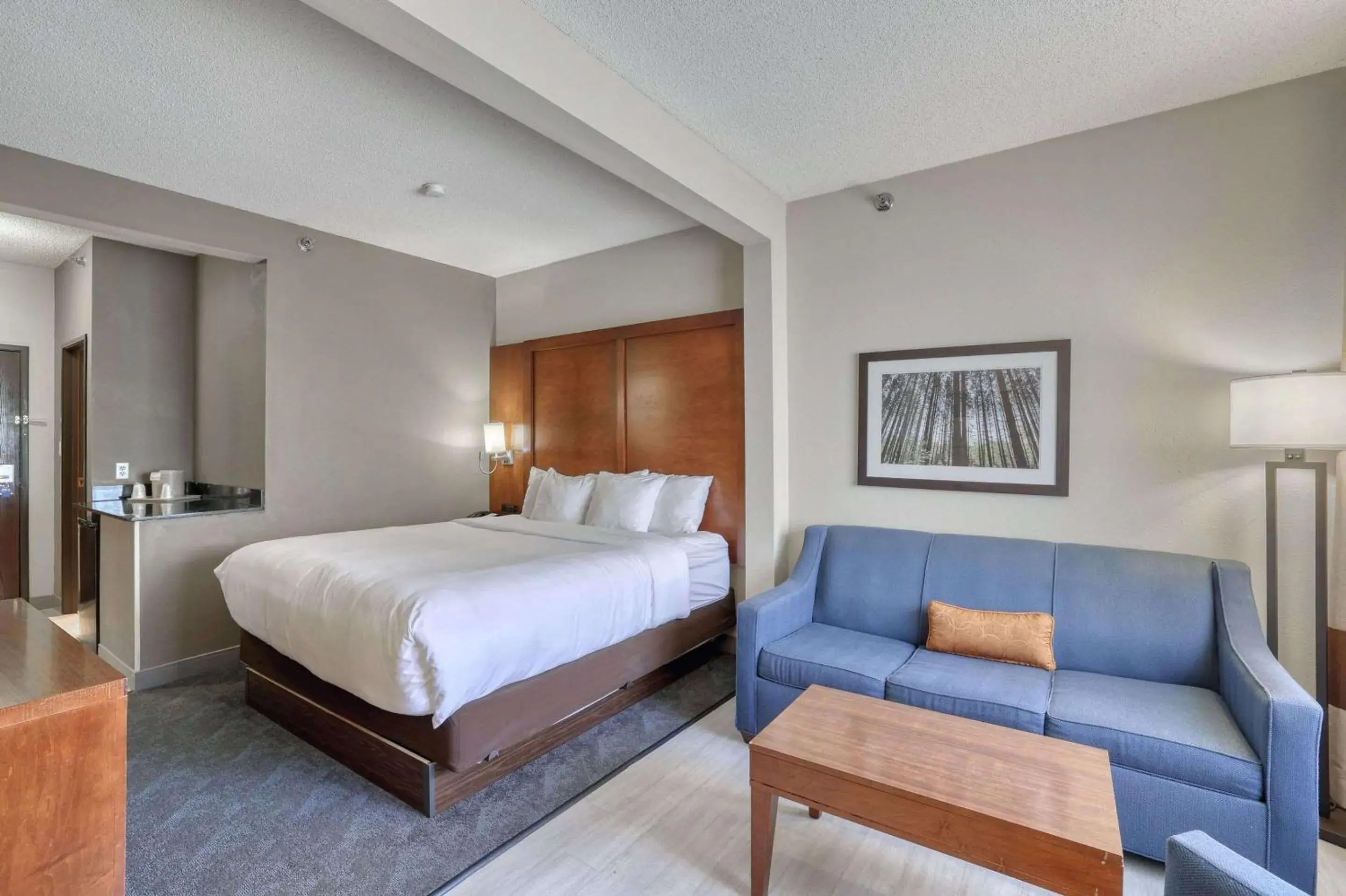 Executive King Suite - Non-Smoking in Comfort Suites Appleton Airport Executive King Suite - Non-Smoking in Comfort Suites Appleton Airport