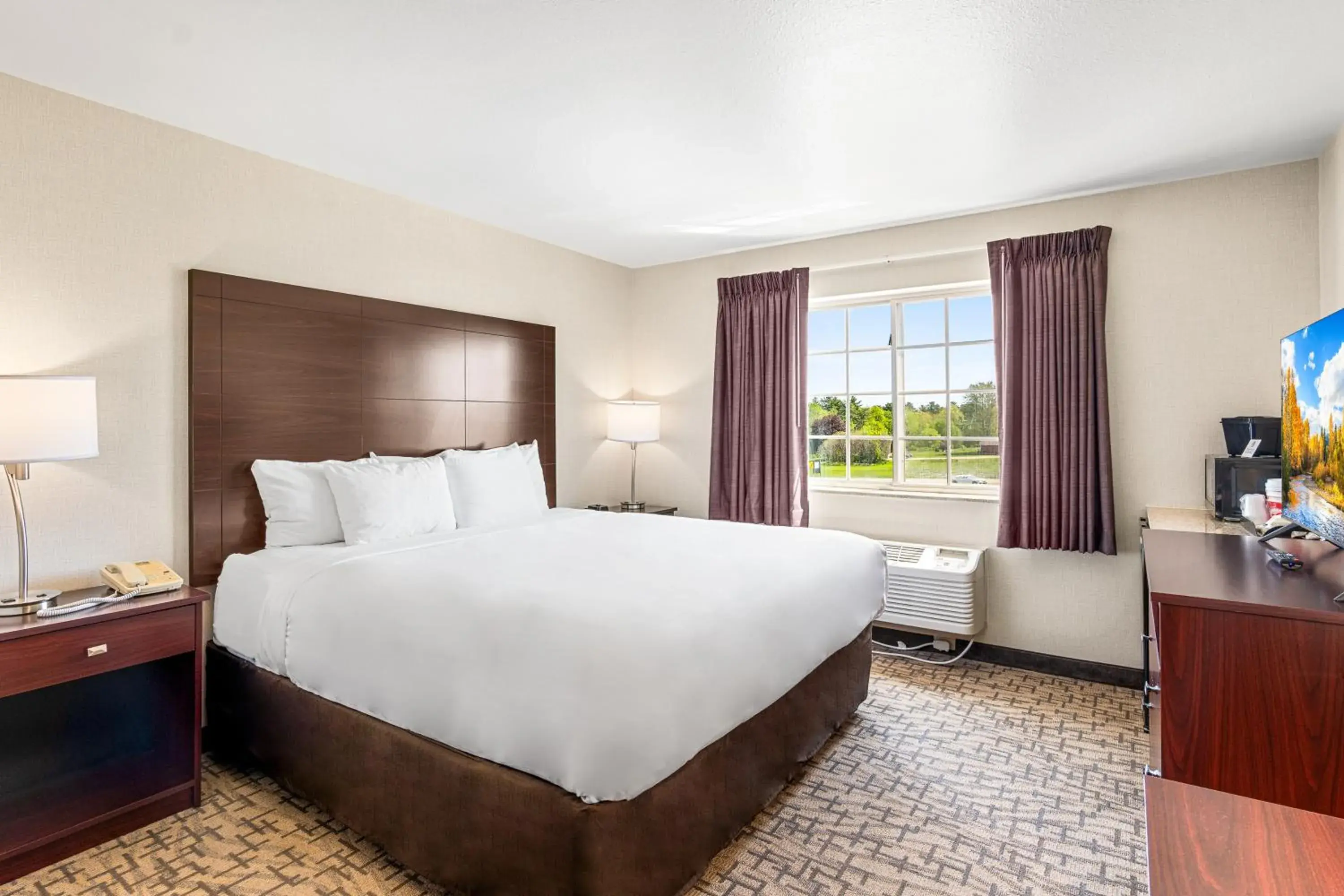 Photo of the whole room, Bed in Boarders Inn & Suites by Cobblestone Hotels - Shawano Photo of the whole room, Bed in Boarders Inn & Suites by Cobblestone Hotels - Shawano