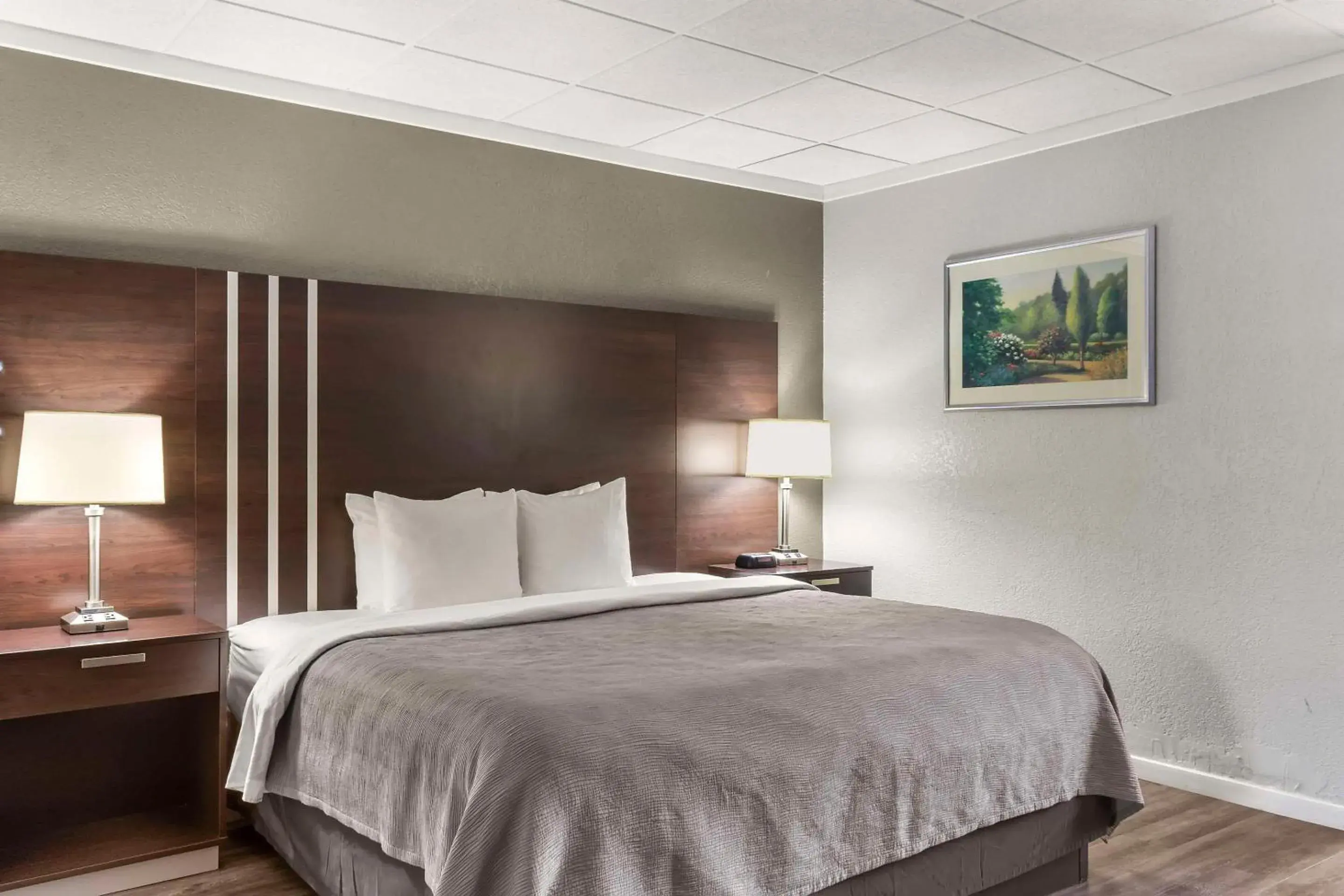 King Room - Non-Smoking in Quality Inn & Suites Green Bay Downtown King Room - Non-Smoking in Quality Inn & Suites Green Bay Downtown