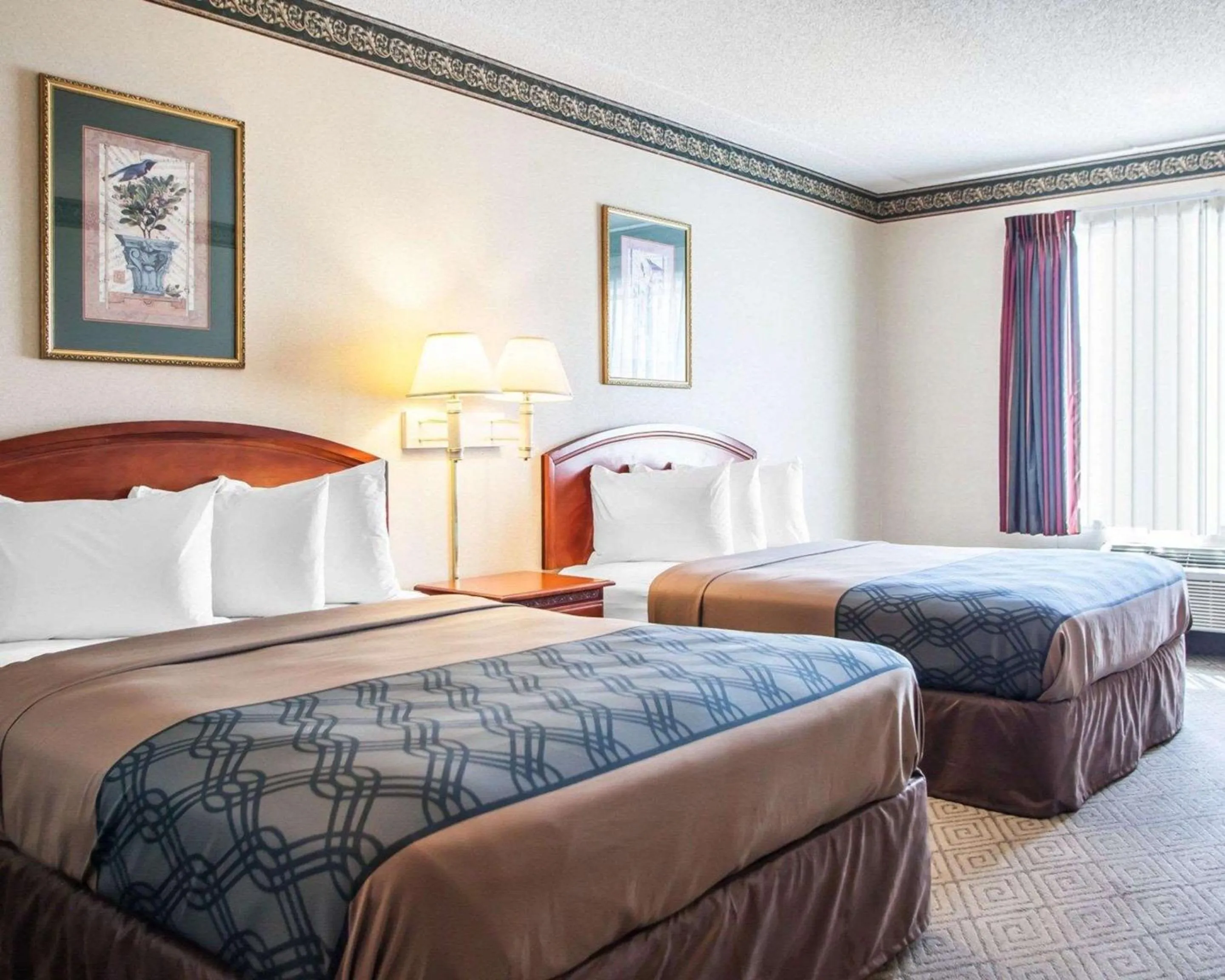 Photo of the whole room, Bed in Rodeway Inn & Suites Milwaukee Airport