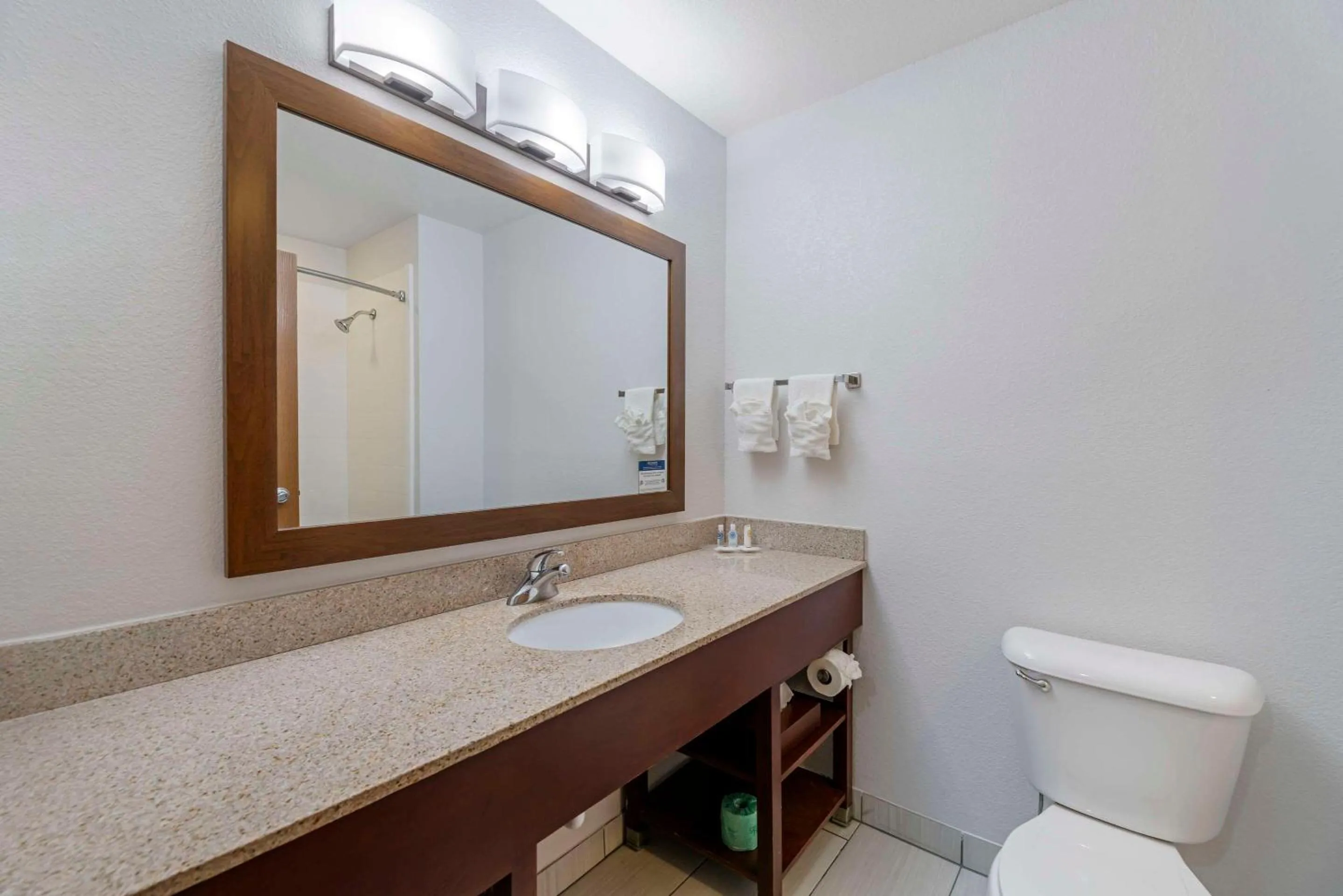 Toilet in Comfort Suites Lake Geneva East