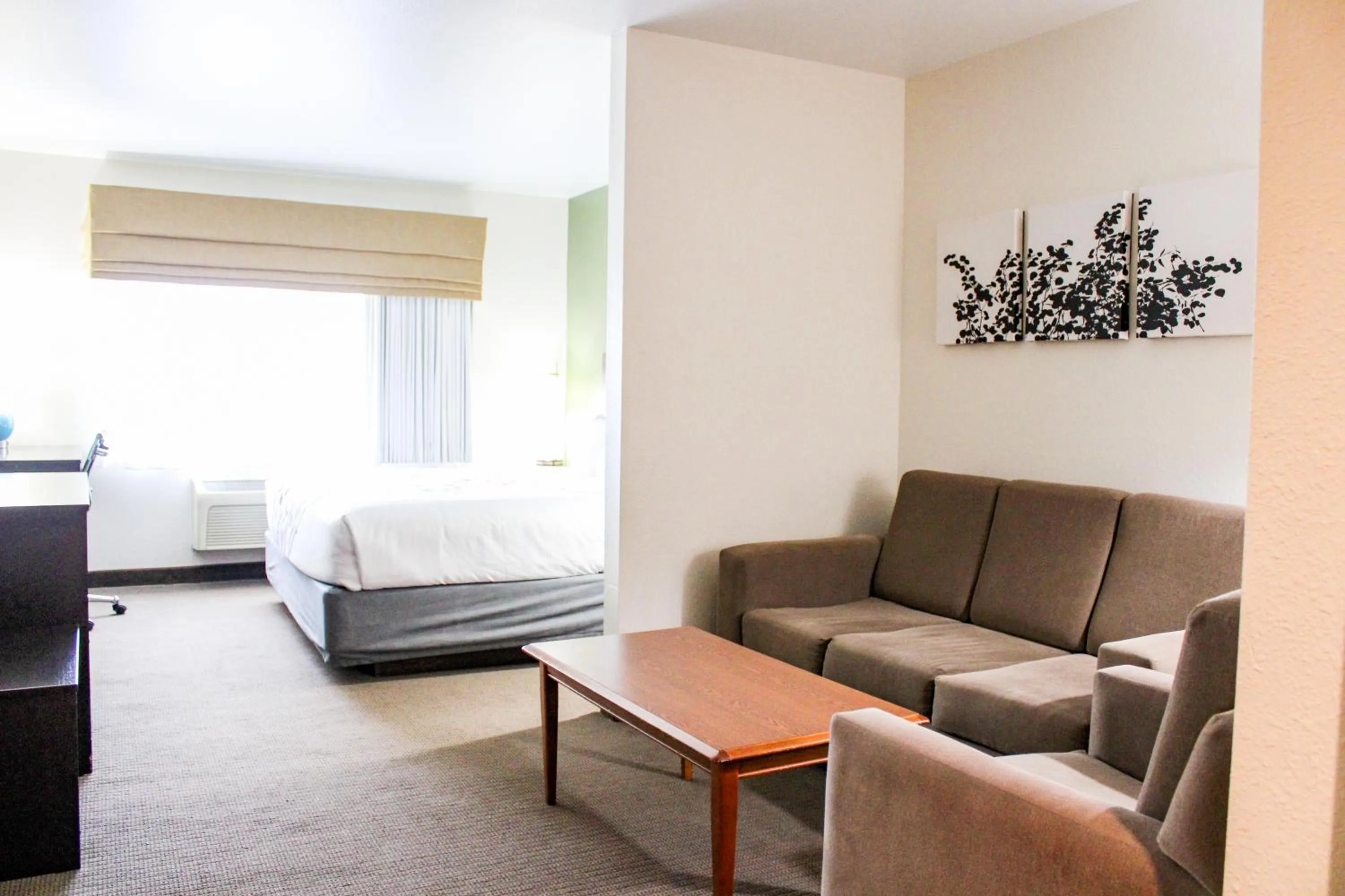 Bed in Sleep Inn & Suites Conference Center Eau Claire North