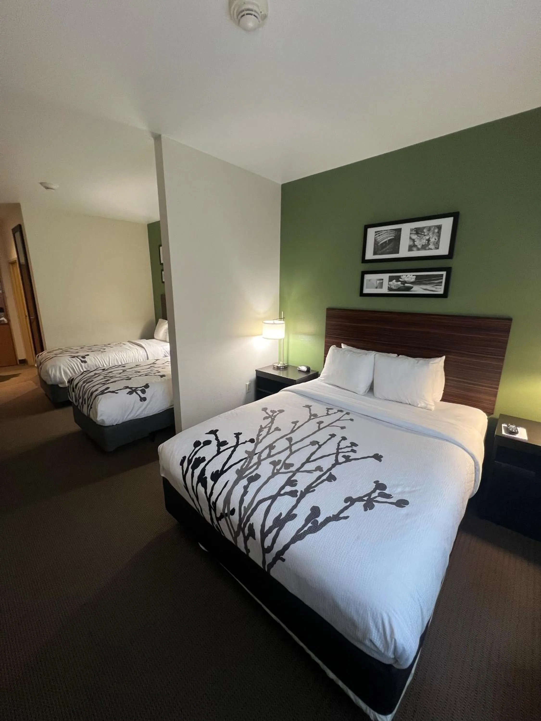 Bed in Sleep Inn & Suites Conference Center Eau Claire North