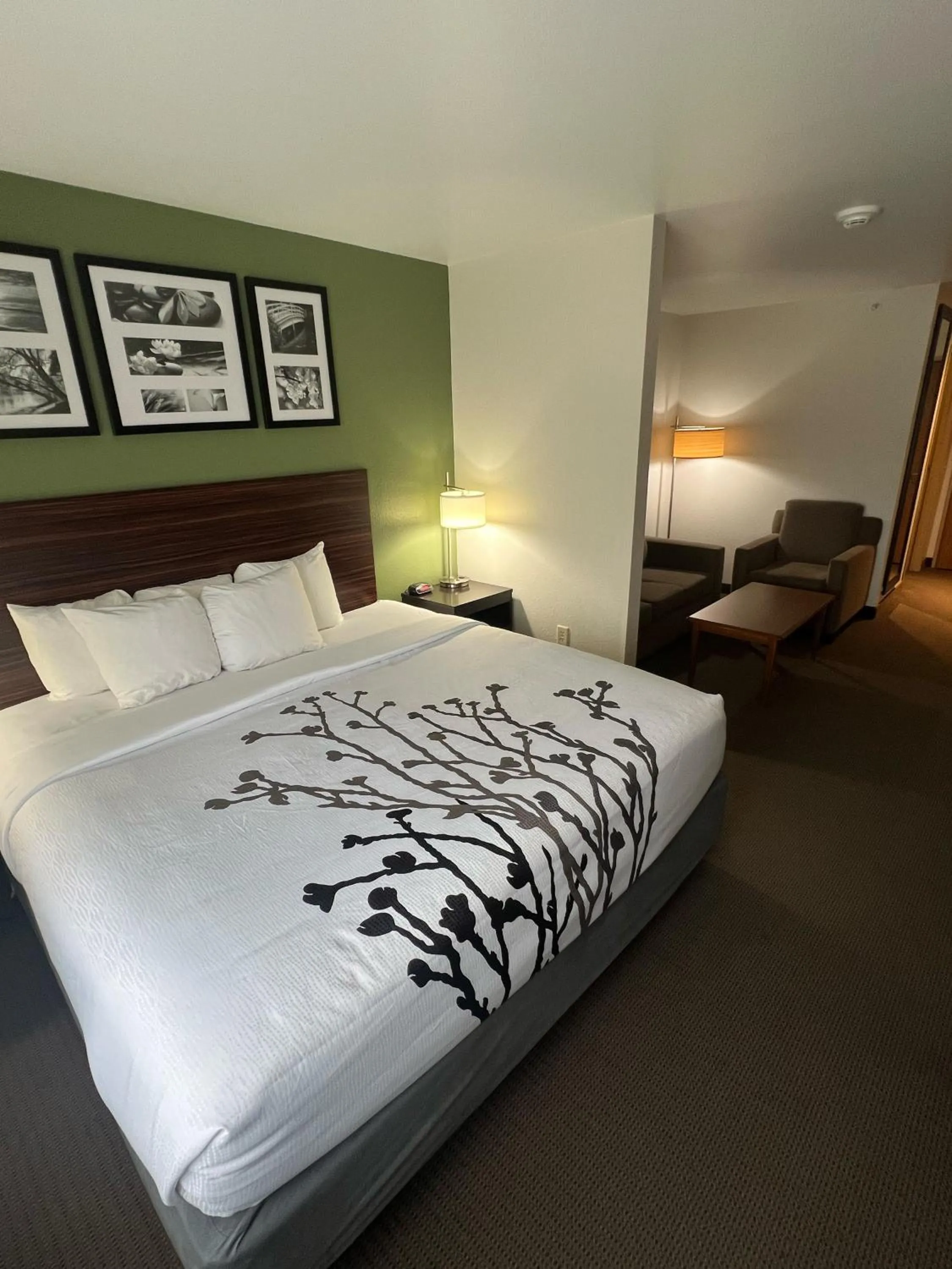 Bed in Sleep Inn & Suites Conference Center Eau Claire North